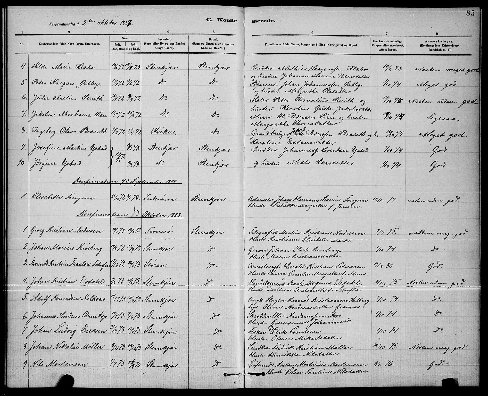 Ministerialprotokoller, klokkerbøker og fødselsregistre - Nord-Trøndelag, AV/SAT-A-1458/739/L0374: Parish register (copy) no. 739C02, 1883-1898, p. 85