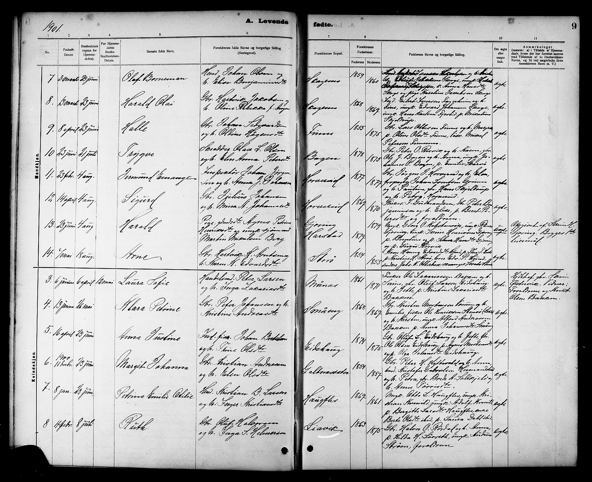 Ministerialprotokoller, klokkerbøker og fødselsregistre - Nord-Trøndelag, SAT/A-1458/780/L0652: Parish register (copy) no. 780C04, 1899-1911, p. 9
