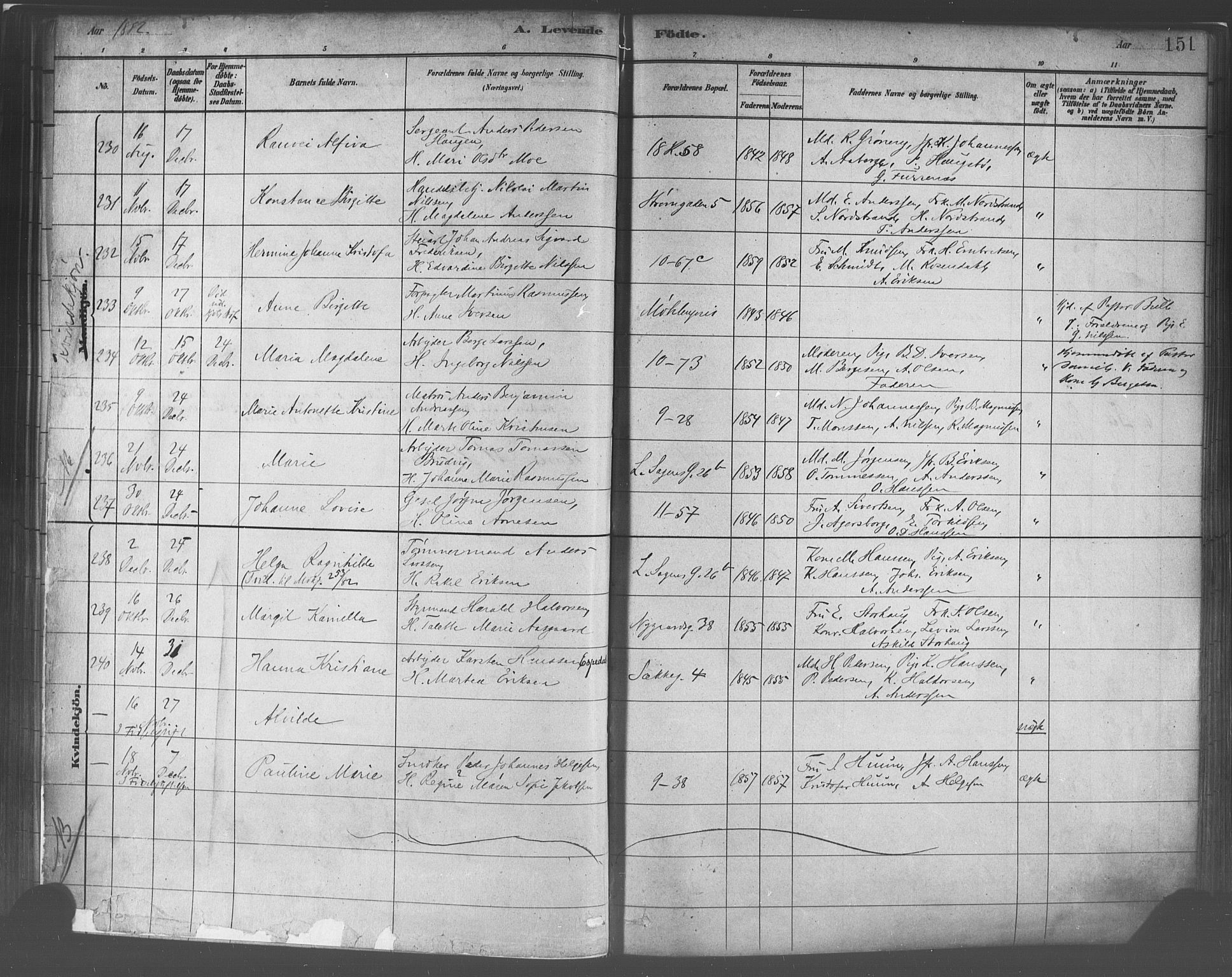 Domkirken sokneprestembete, AV/SAB-A-74801/H/Haa/L0023: Parish register (official) no. B 6, 1879-1887, p. 151