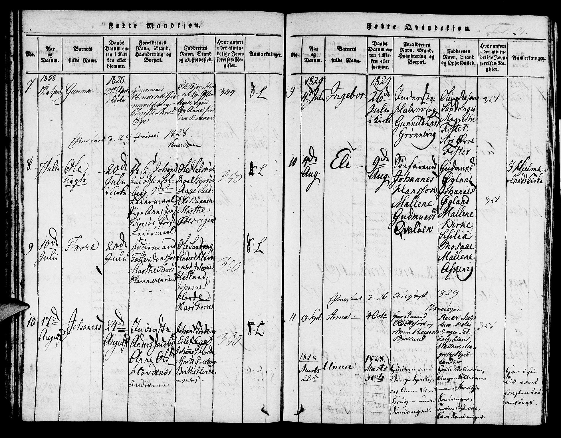 Hjelmeland sokneprestkontor, AV/SAST-A-101843/01/IV/L0004: Parish register (official) no. A 4, 1816-1834, p. 31