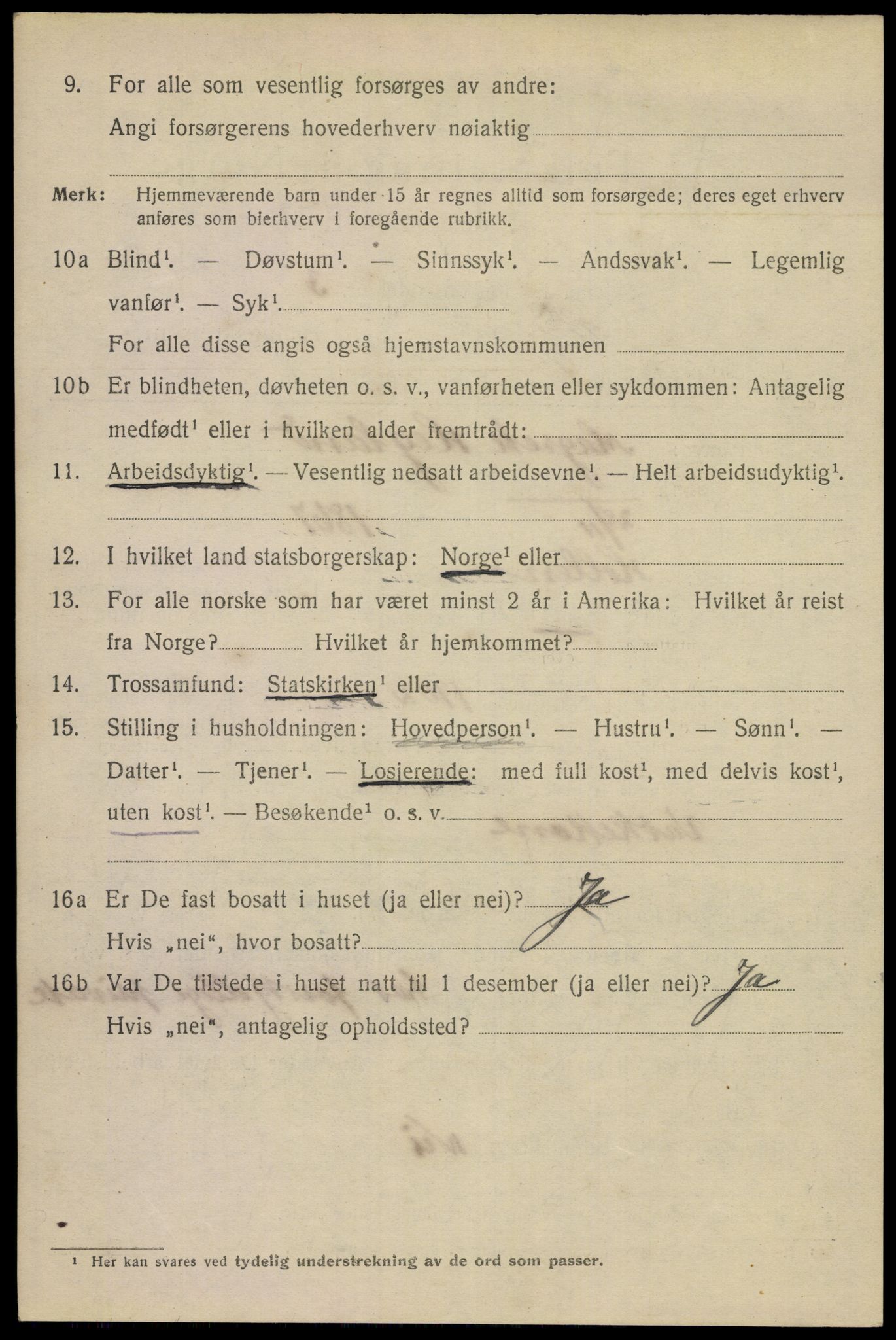 SAKO, 1920 census for Skien, 1920, p. 26615