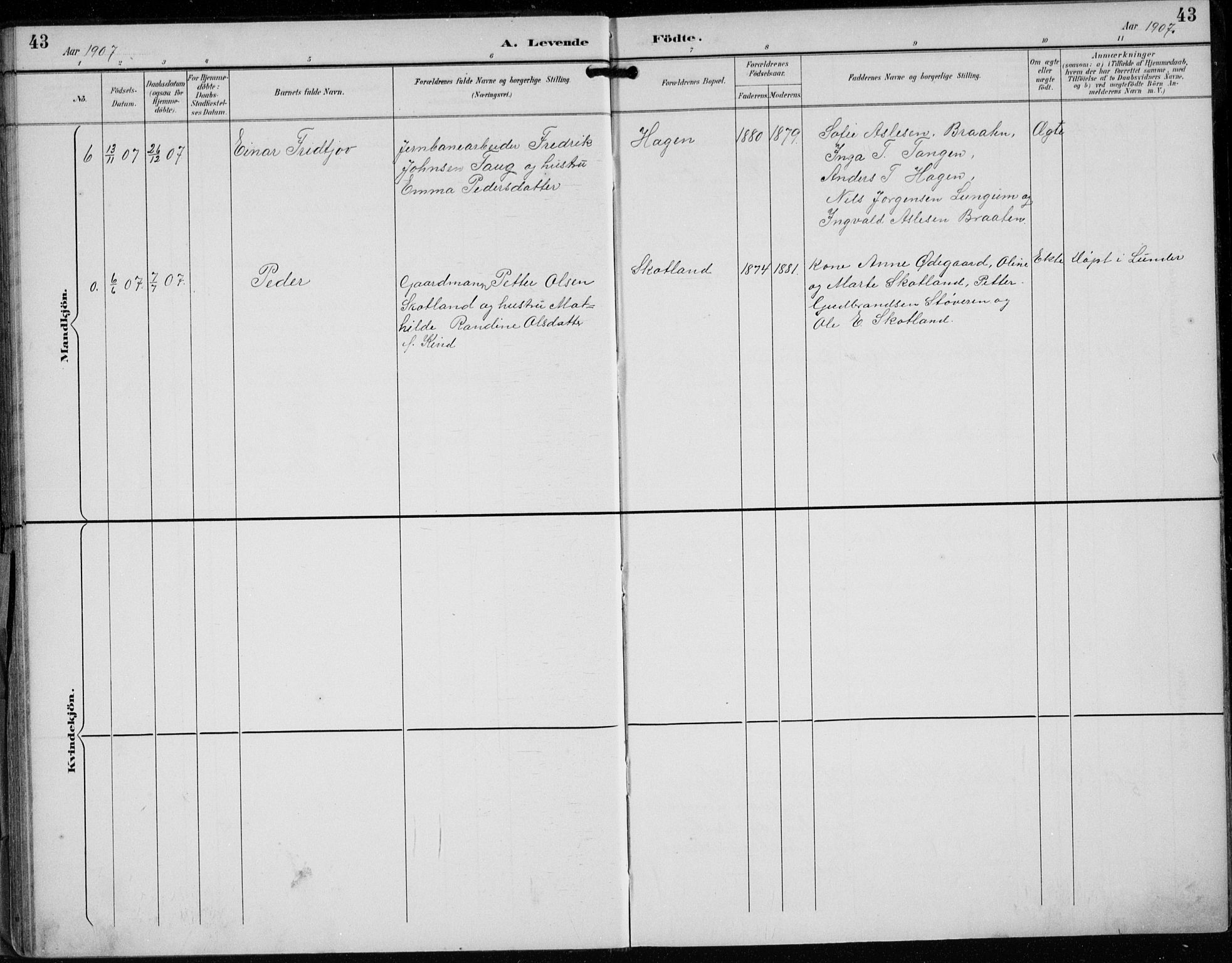 Lunder kirkebøker, AV/SAKO-A-629/F/Fb/L0001: Parish register (official) no. II 1, 1893-1916, p. 43