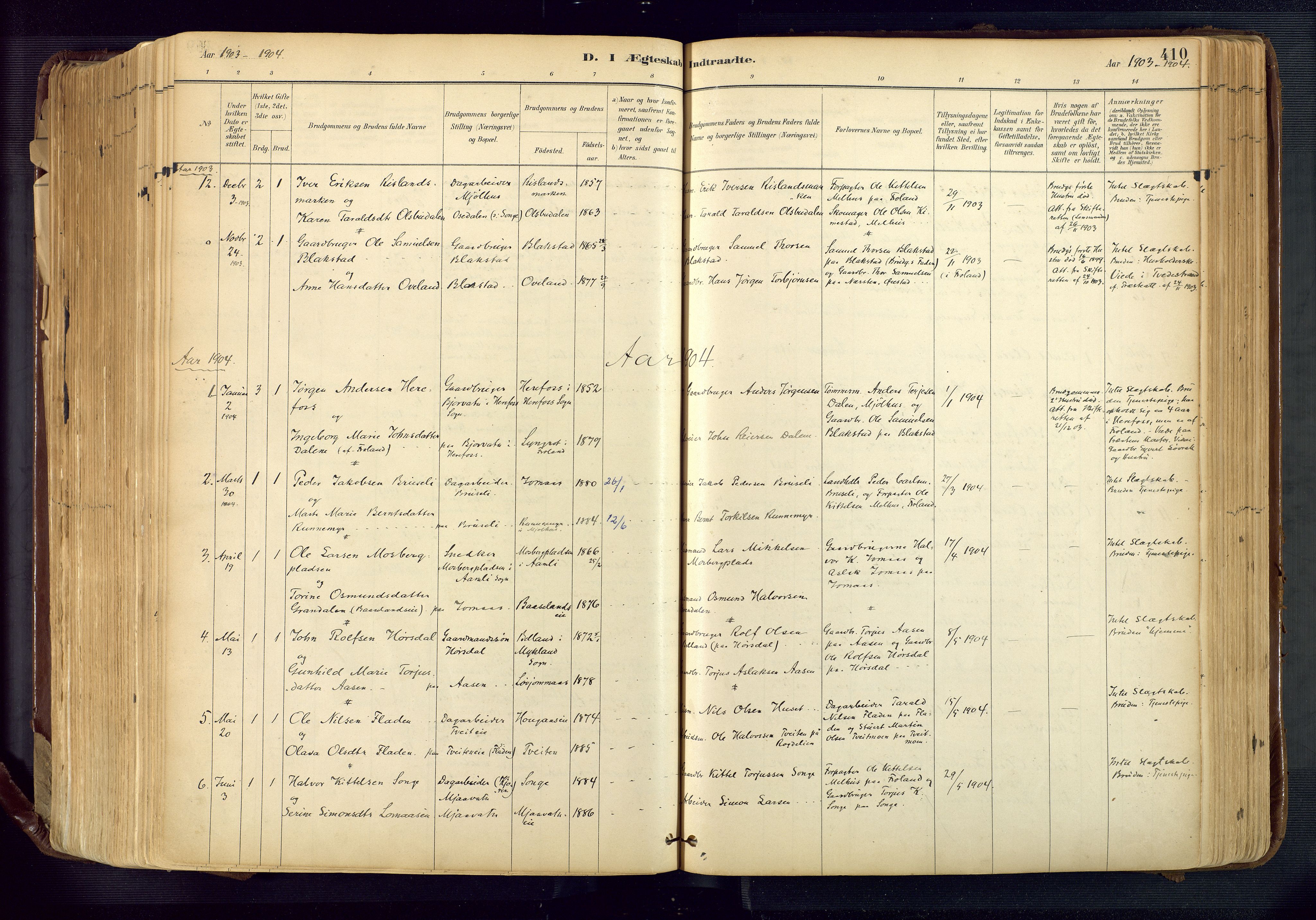 Froland sokneprestkontor, SAK/1111-0013/F/Fa/L0005: Parish register (official) no. A 5, 1882-1921, p. 410