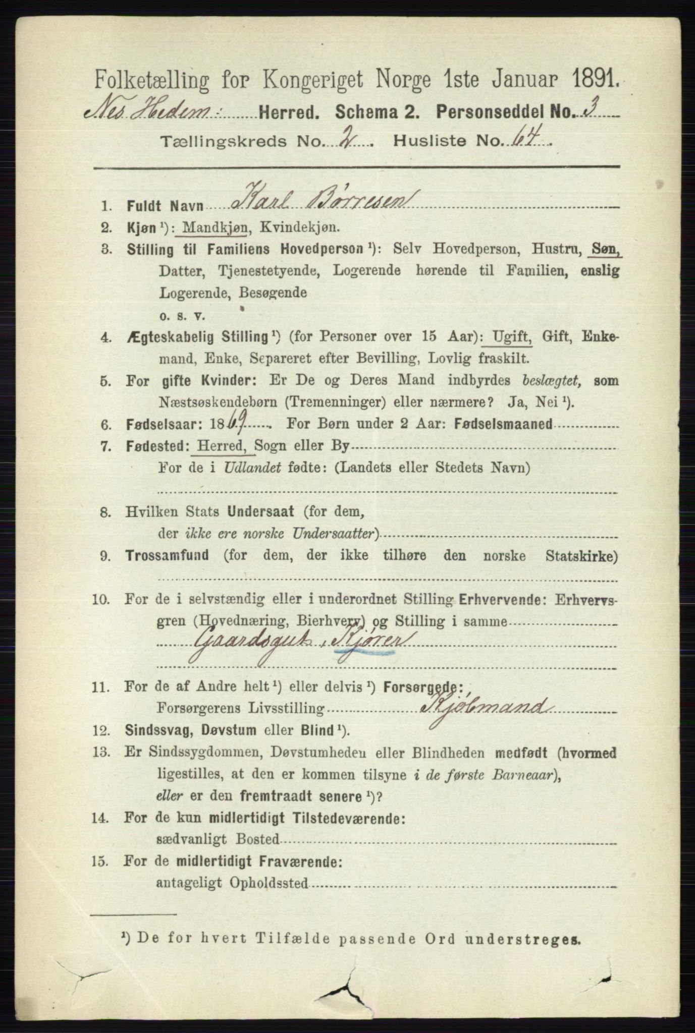 RA, 1891 census for 0411 Nes, 1891, p. 1517