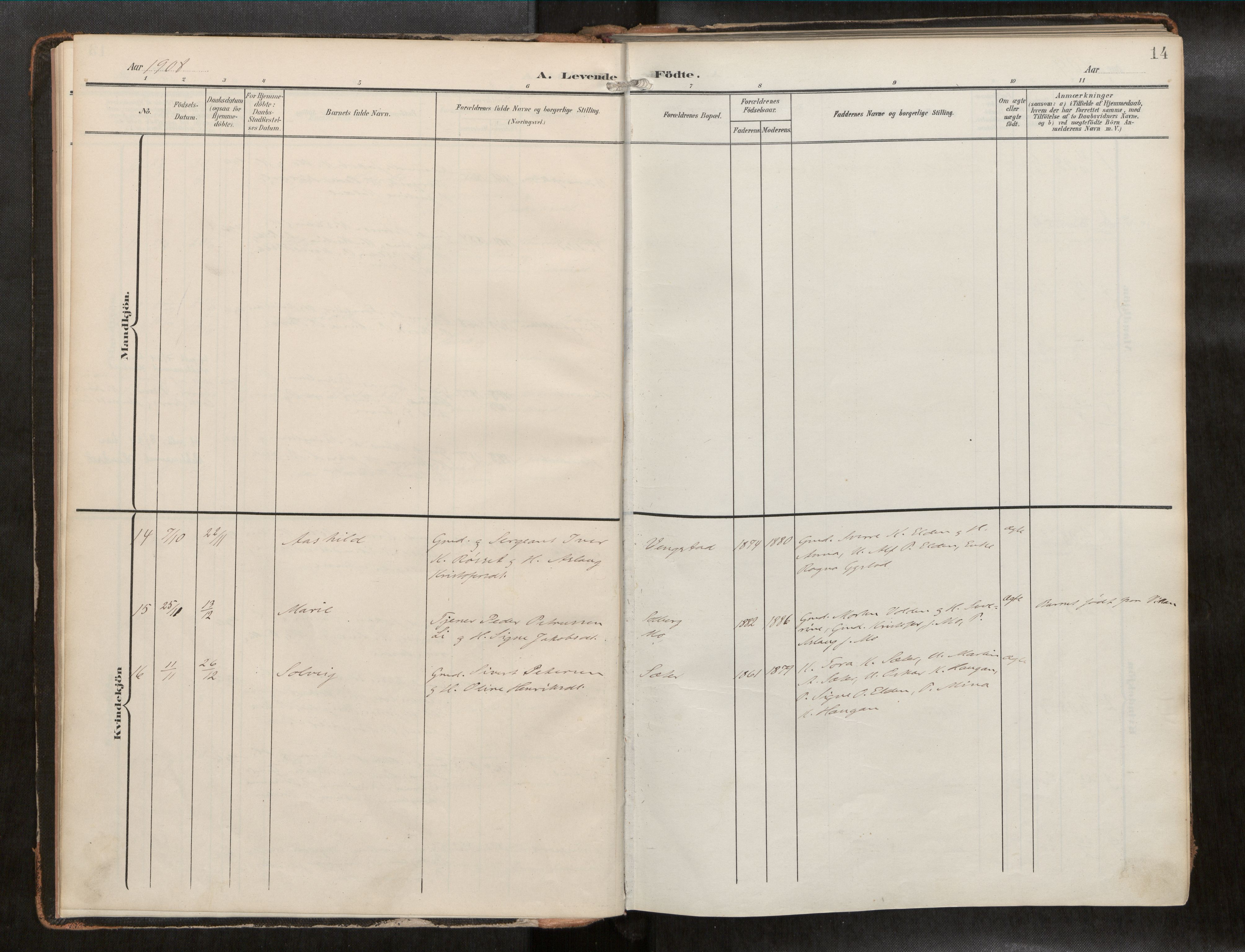 Ministerialprotokoller, klokkerbøker og fødselsregistre - Nord-Trøndelag, AV/SAT-A-1458/742/L0409a: Parish register (official) no. 742A03, 1906-1924, p. 14