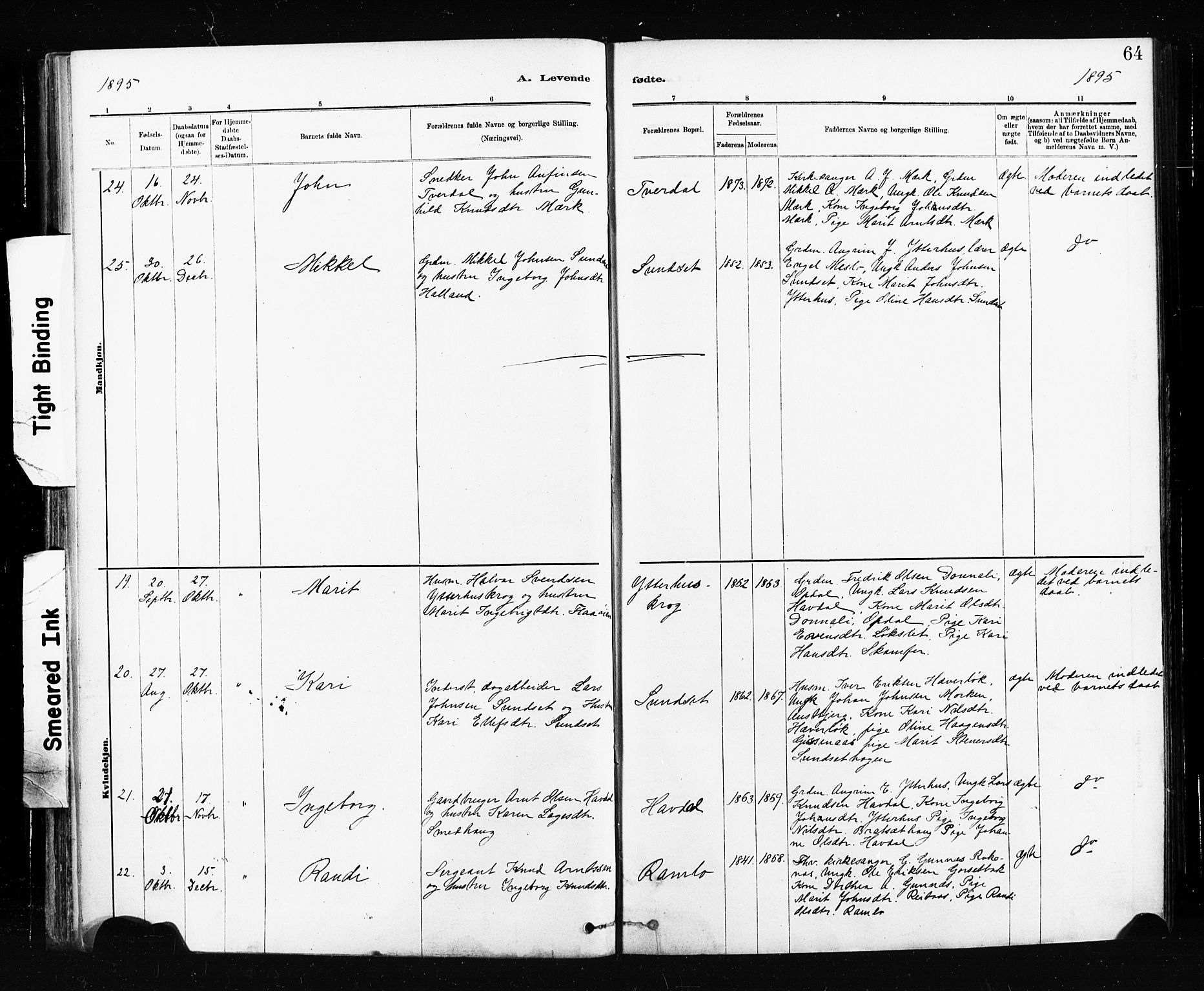 Ministerialprotokoller, klokkerbøker og fødselsregistre - Sør-Trøndelag, AV/SAT-A-1456/674/L0871: Parish register (official) no. 674A03, 1880-1896, p. 64