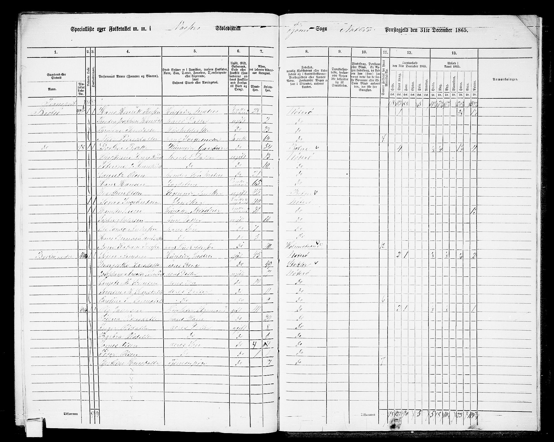 RA, 1865 census for Nøtterøy, 1865, p. 305