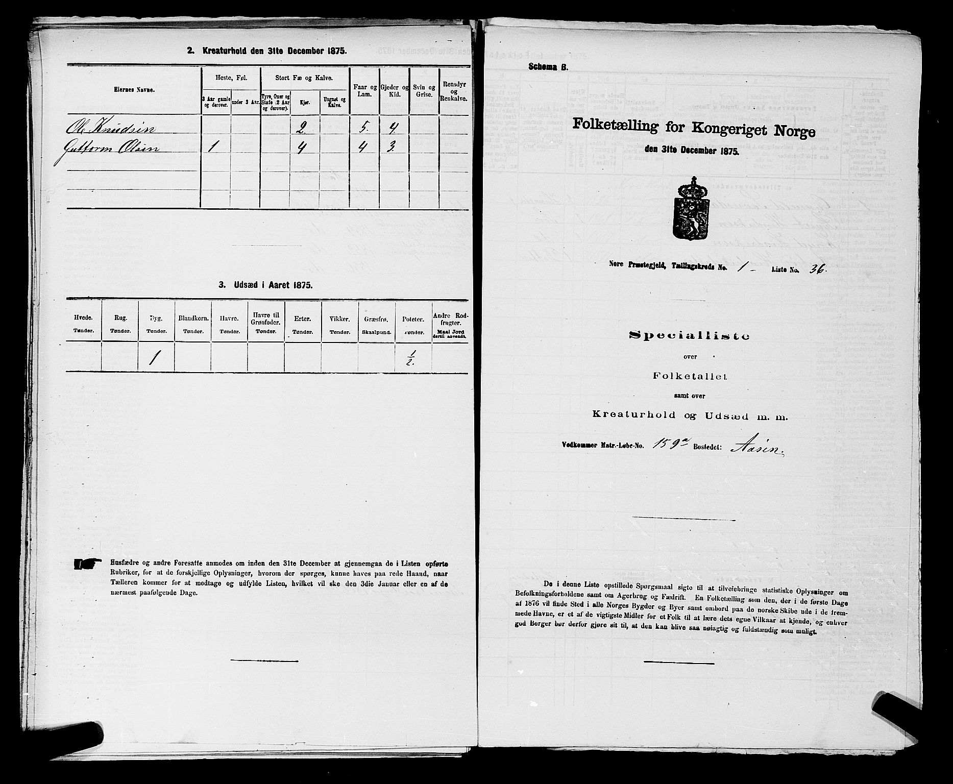 SAKO, 1875 census for 0633P Nore, 1875, p. 161