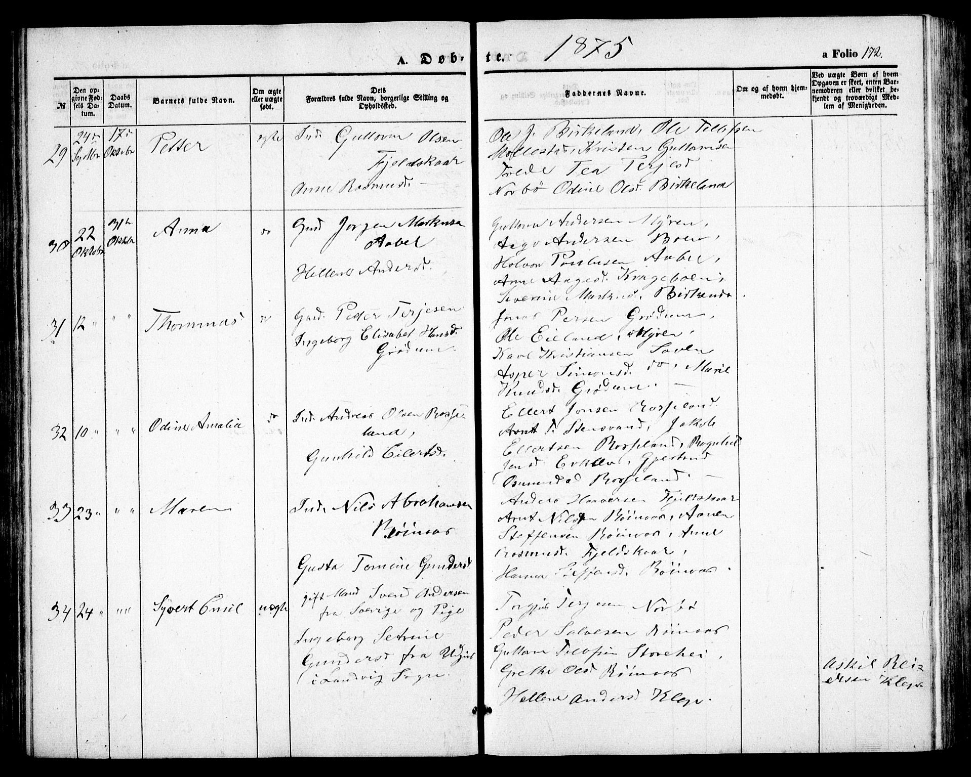 Birkenes sokneprestkontor, AV/SAK-1111-0004/F/Fb/L0002: Parish register (copy) no. B 2, 1849-1876, p. 172