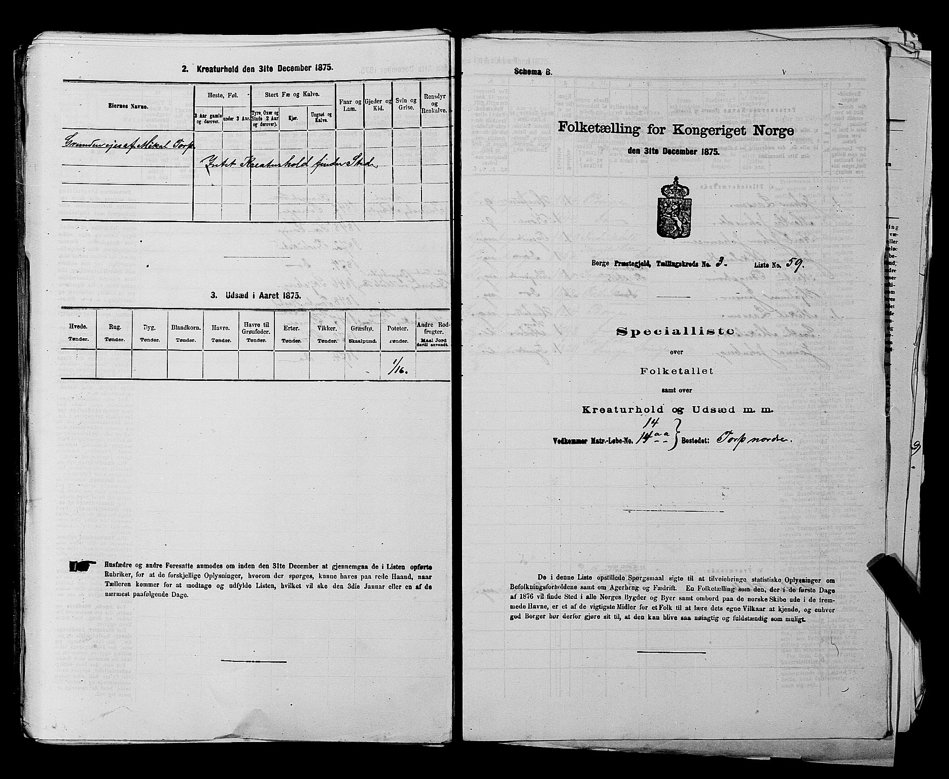 RA, 1875 census for 0113P Borge, 1875, p. 508