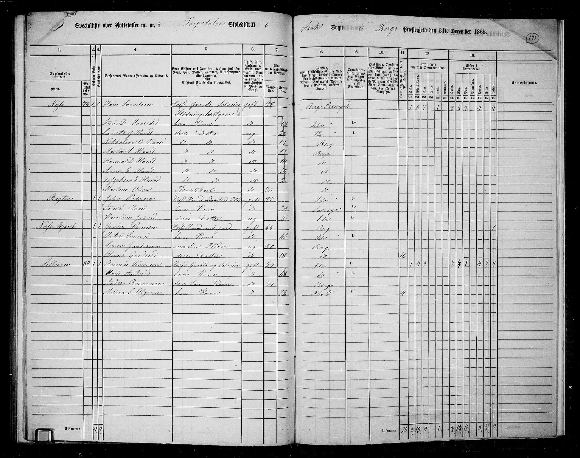 RA, 1865 census for Berg, 1865, p. 150