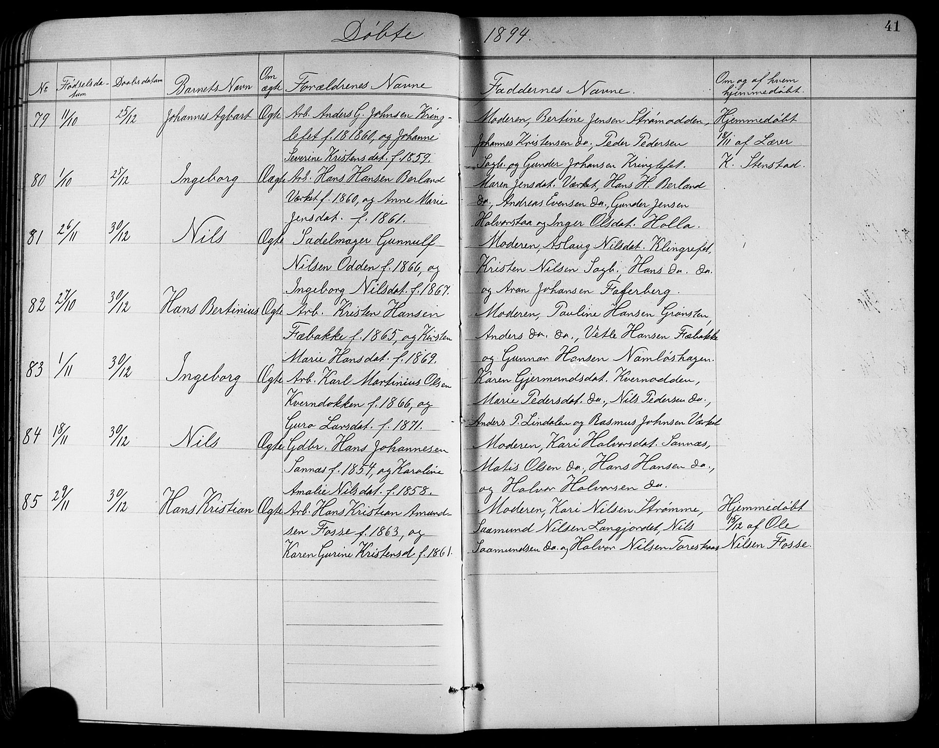 Holla kirkebøker, SAKO/A-272/G/Ga/L0005: Parish register (copy) no. I 5, 1891-1917, p. 41