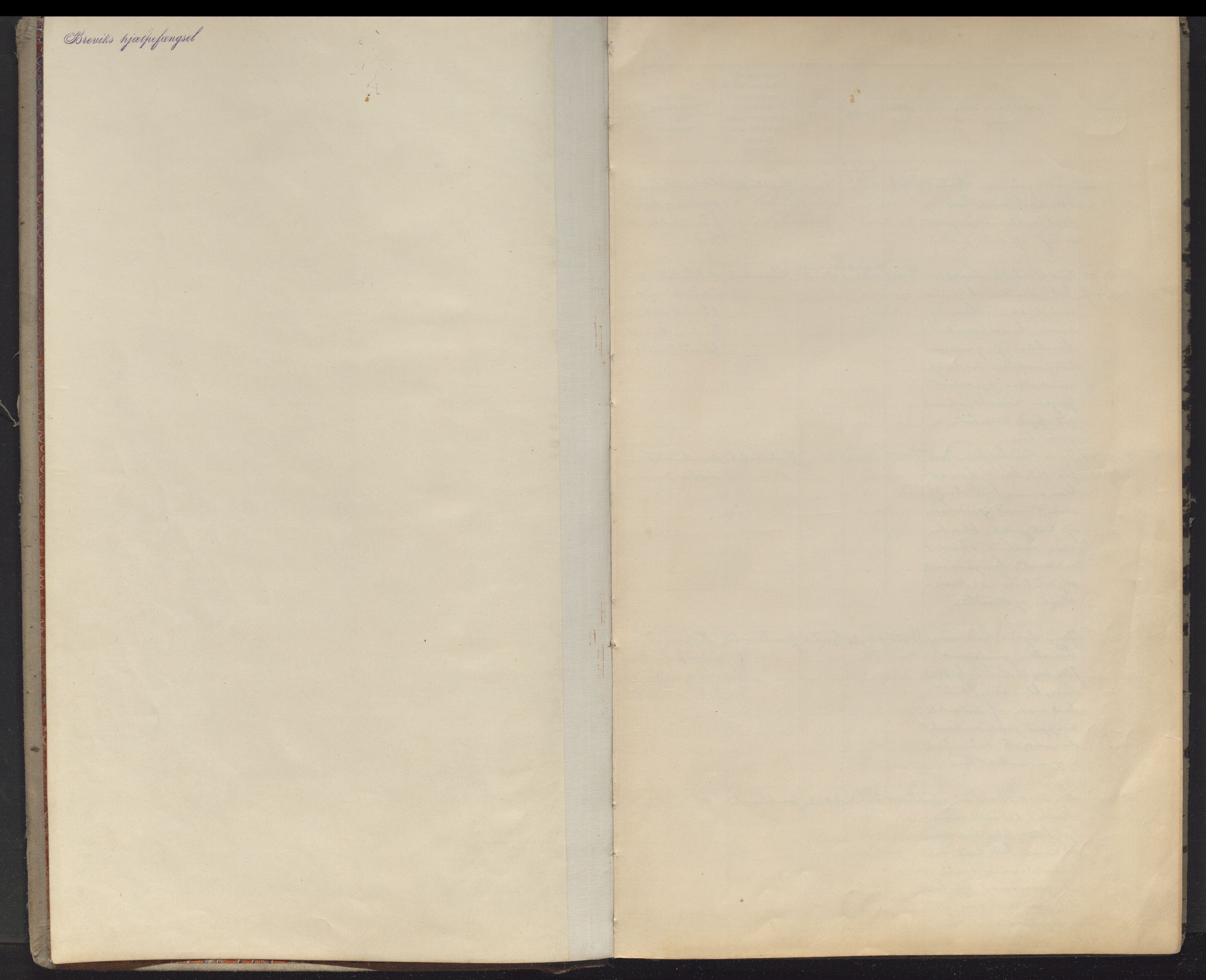 Brevik hjelpefengsel, AV/SAKO-A-760/Y/Ya/L0004: Protokoll over varetektsfanger, 1908-1946