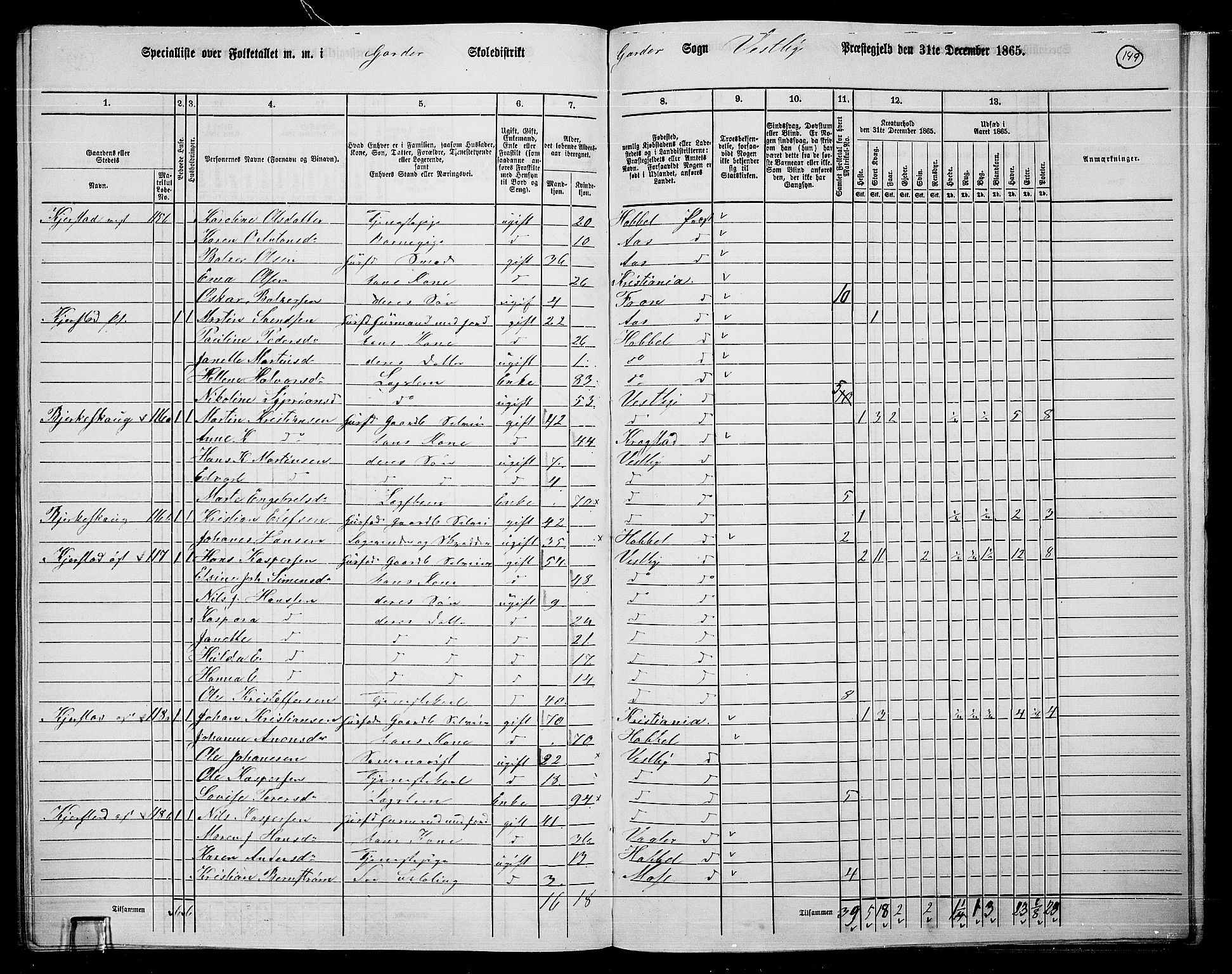 RA, 1865 census for Vestby, 1865, p. 129