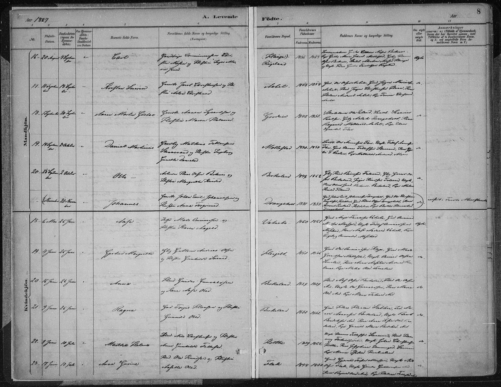 Birkenes sokneprestkontor, AV/SAK-1111-0004/F/Fa/L0005: Parish register (official) no. A 5, 1887-1907, p. 8