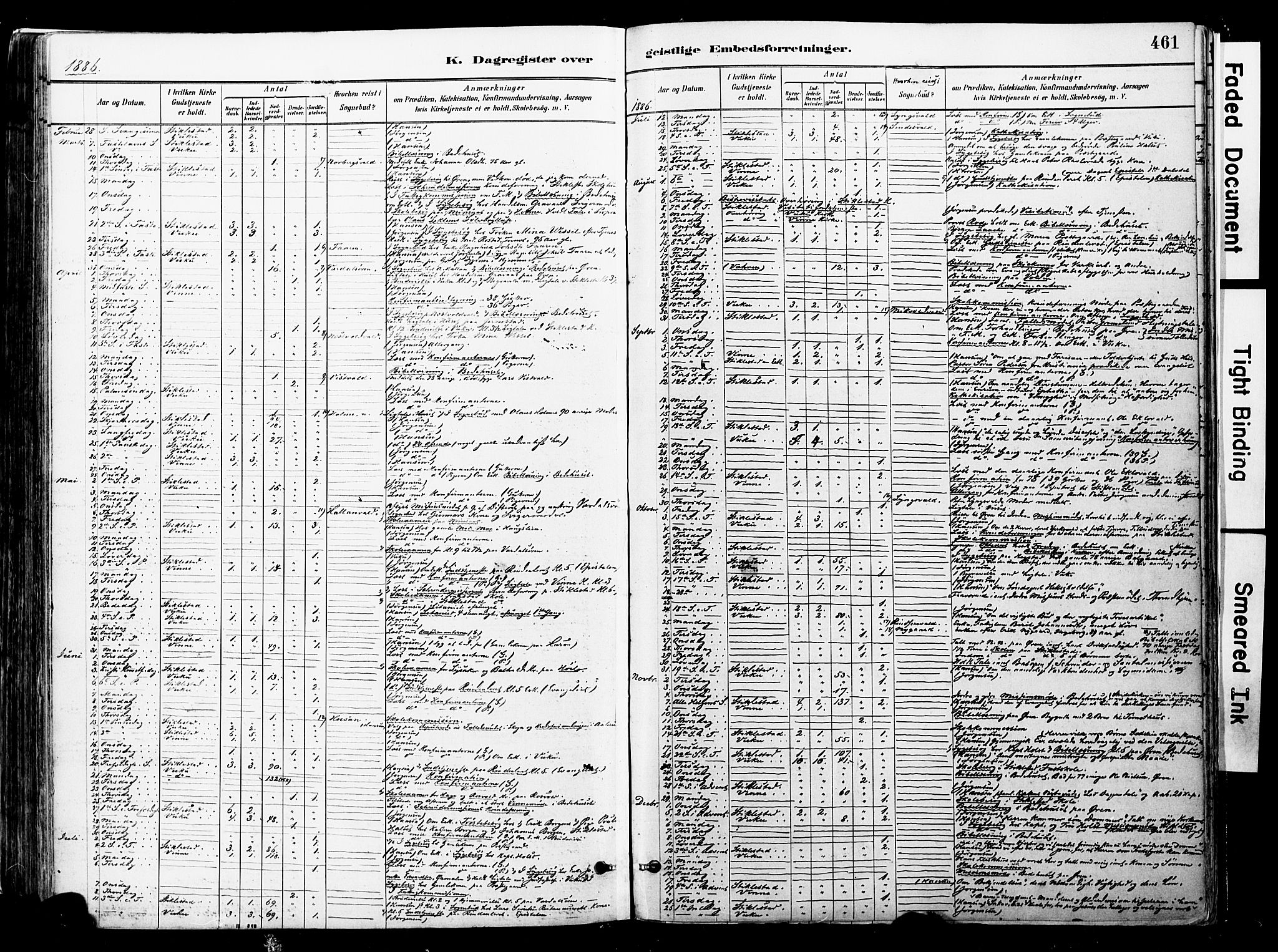Ministerialprotokoller, klokkerbøker og fødselsregistre - Nord-Trøndelag, SAT/A-1458/723/L0244: Parish register (official) no. 723A13, 1881-1899, p. 461