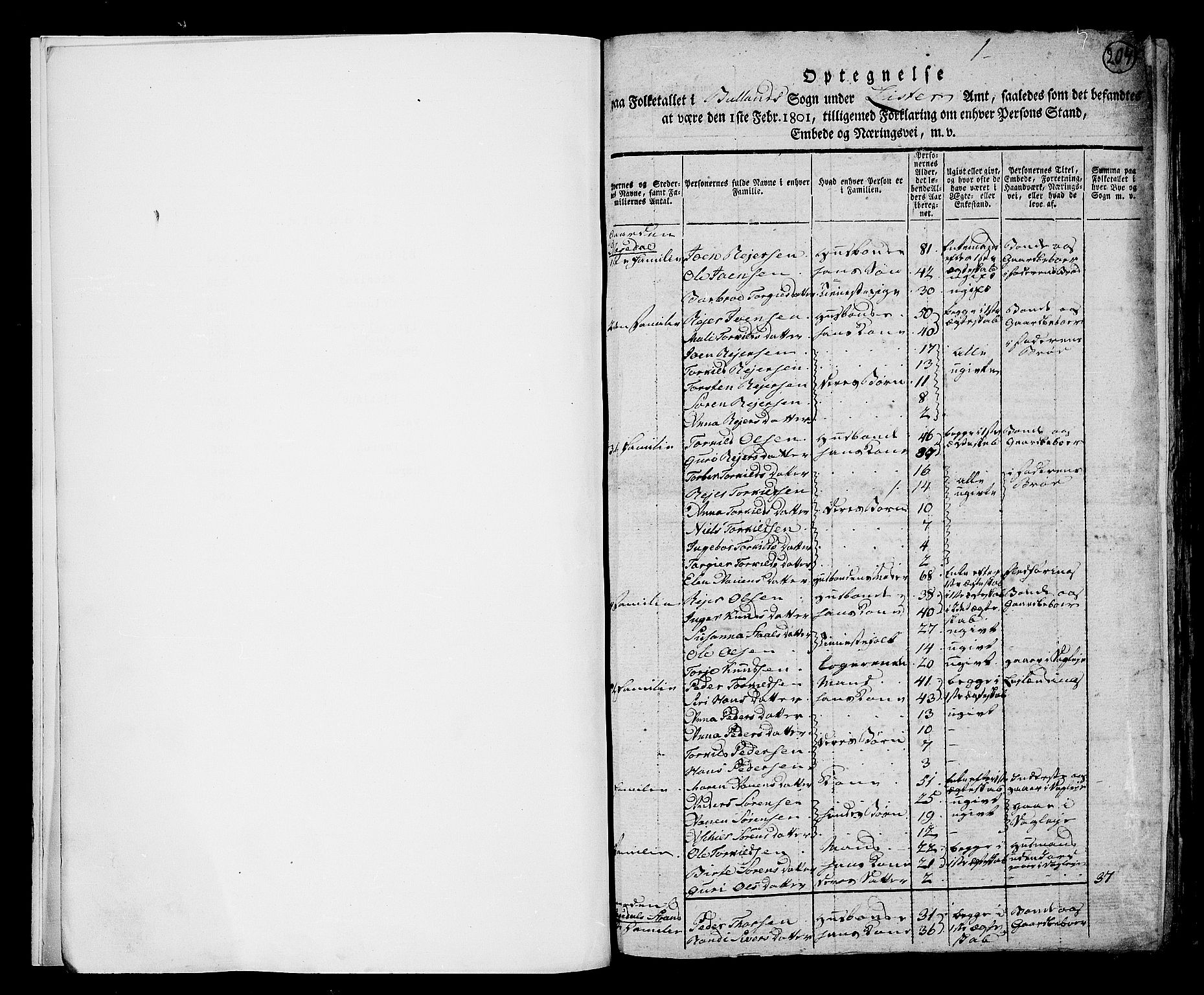 RA, 1801 census for 1024P Bjelland, 1801, p. 204a