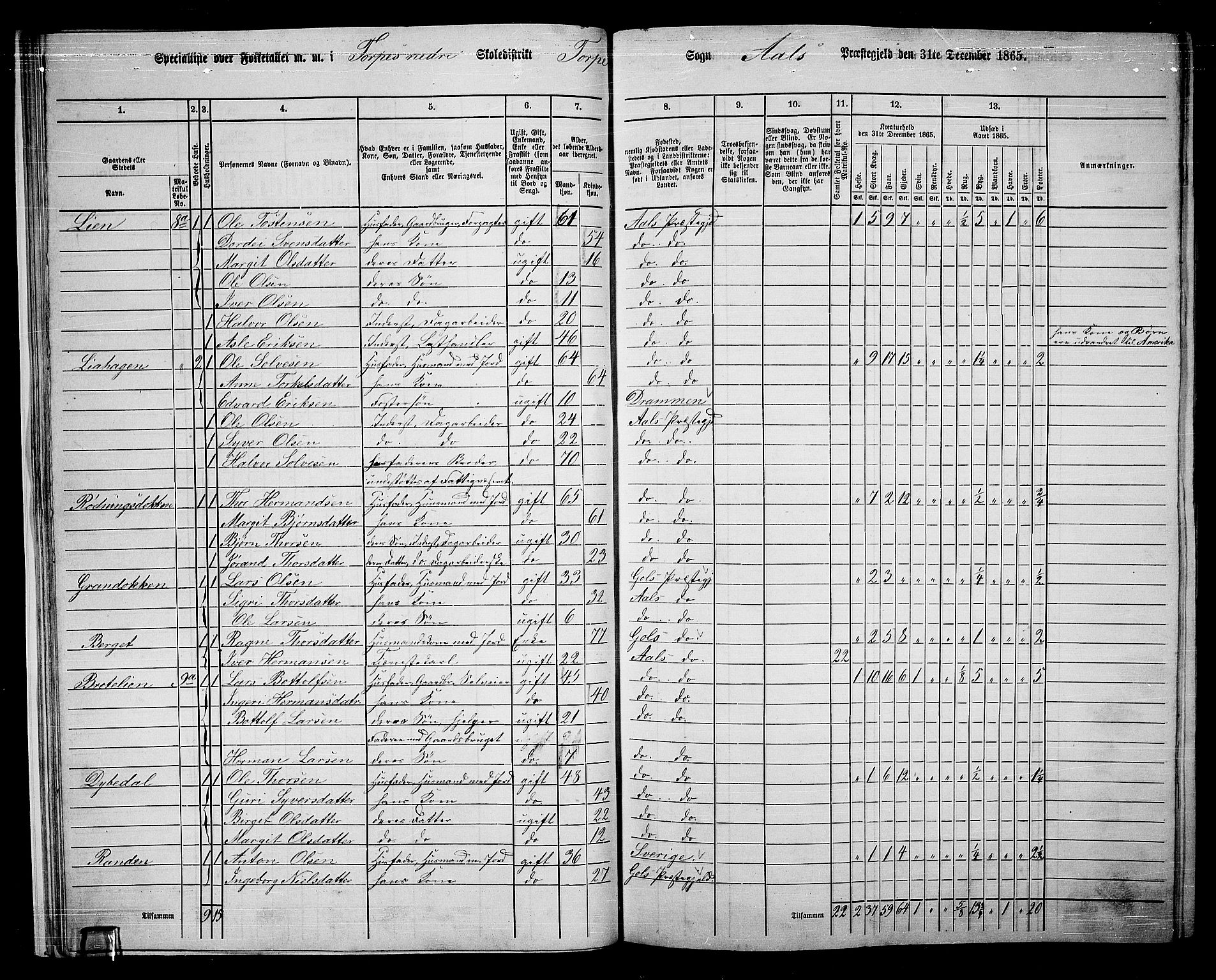 RA, 1865 census for Ål, 1865, p. 24