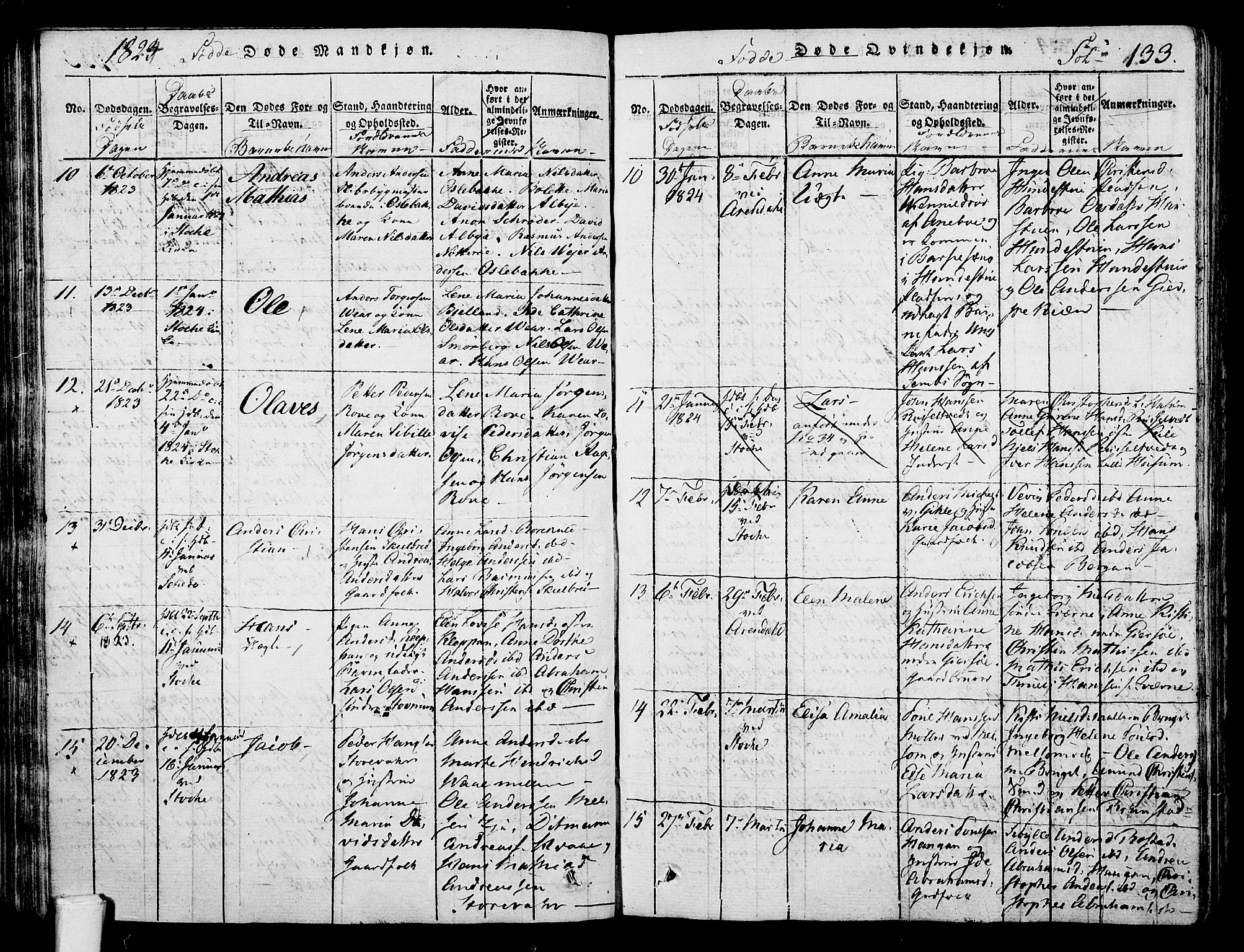 Stokke kirkebøker, AV/SAKO-A-320/F/Fa/L0005: Parish register (official) no. I 5, 1815-1826, p. 133