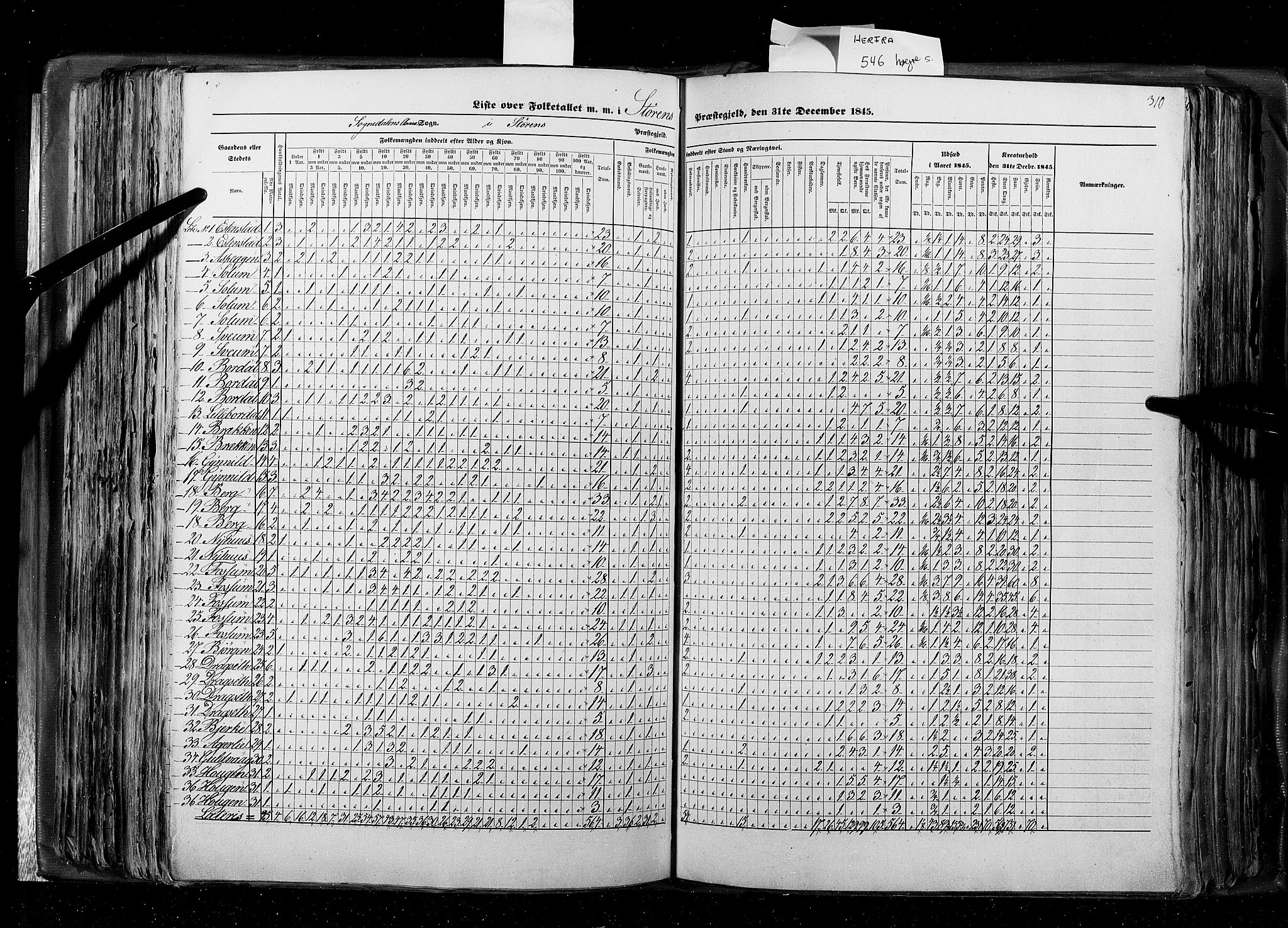 RA, Census 1845, vol. 8: Romsdal amt og Søndre Trondhjems amt, 1845, p. 310