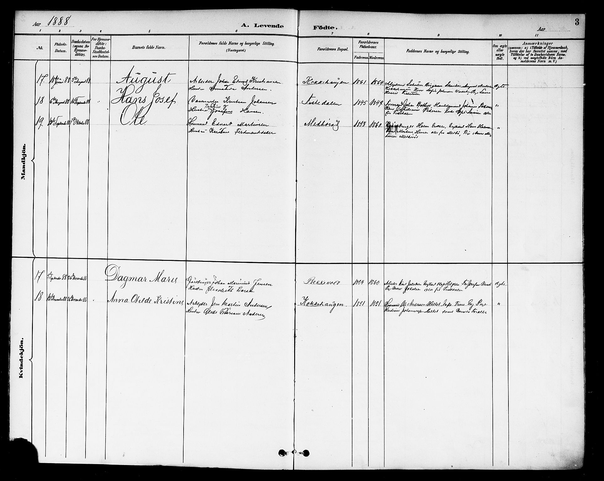 Berg prestekontor Kirkebøker, AV/SAO-A-10902/F/Fb/L0002: Parish register (official) no. II 2, 1888-1902, p. 3