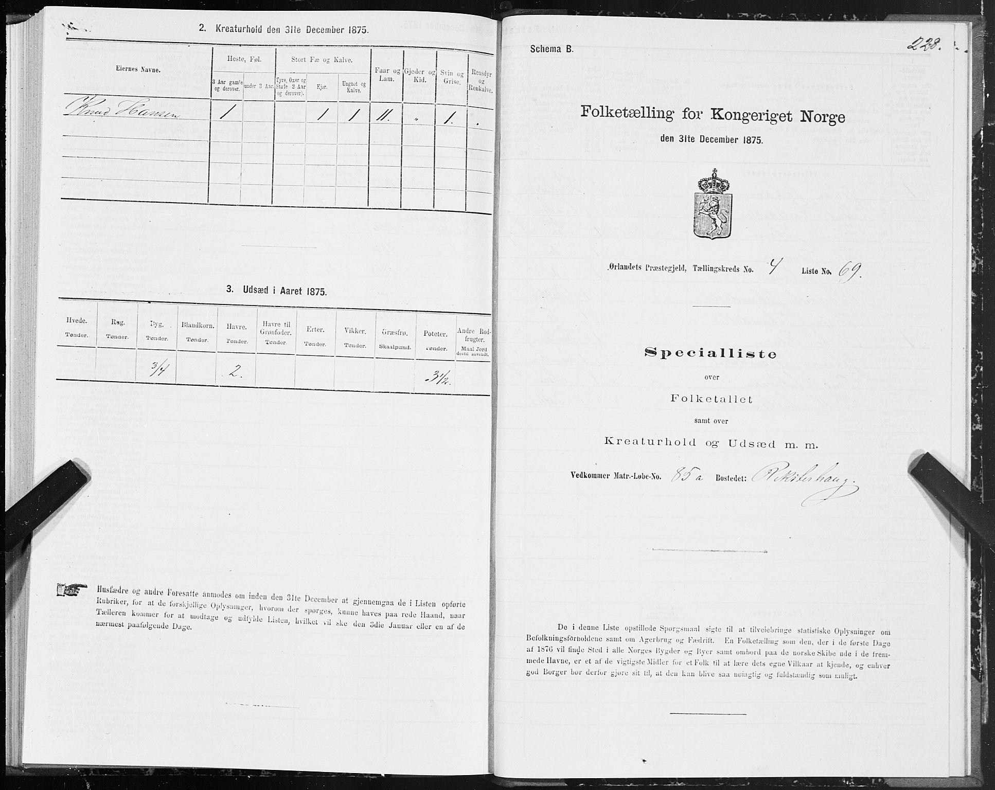 SAT, 1875 census for 1621P Ørland, 1875, p. 2228