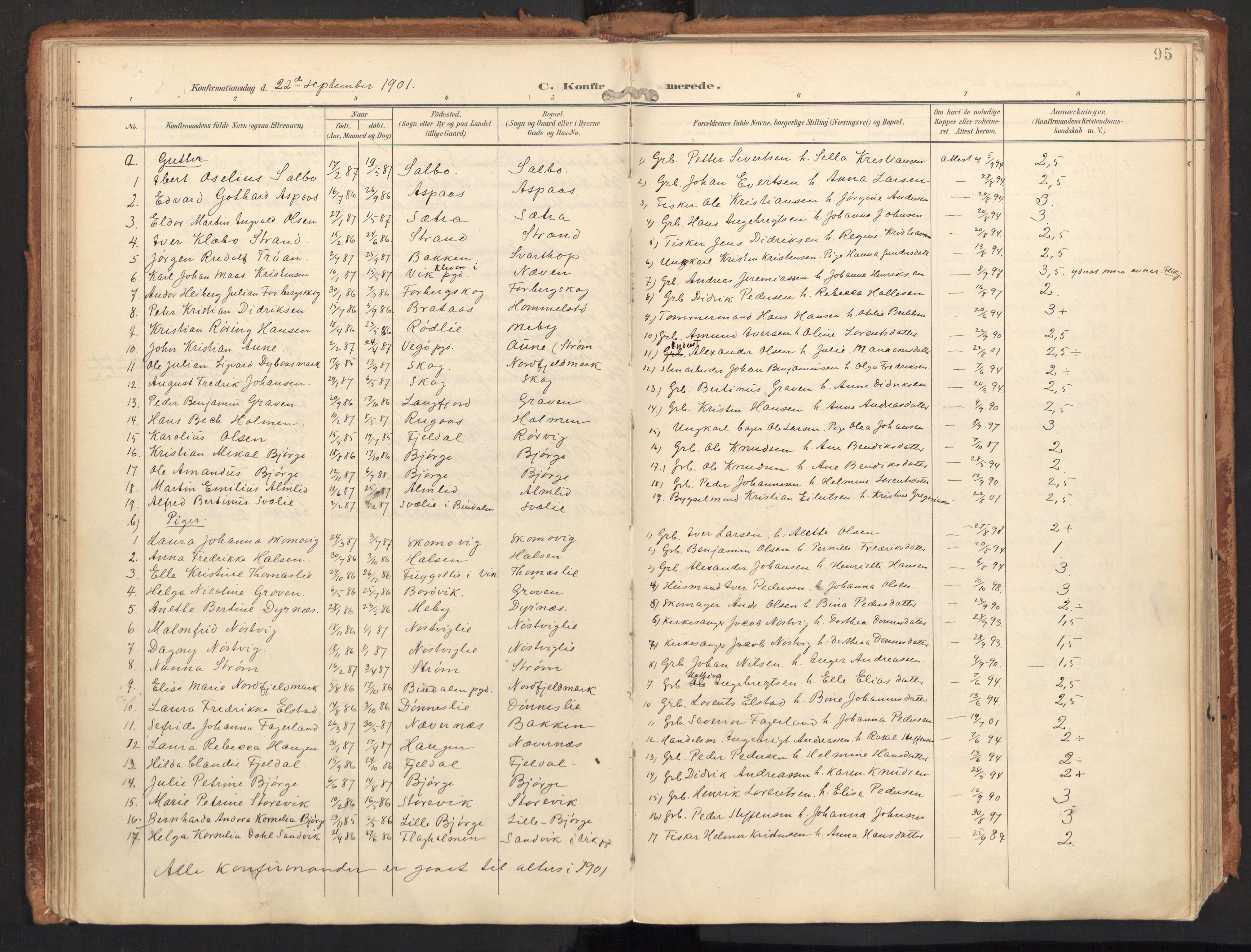 Ministerialprotokoller, klokkerbøker og fødselsregistre - Nordland, SAT/A-1459/814/L0227: Parish register (official) no. 814A08, 1899-1920, p. 95