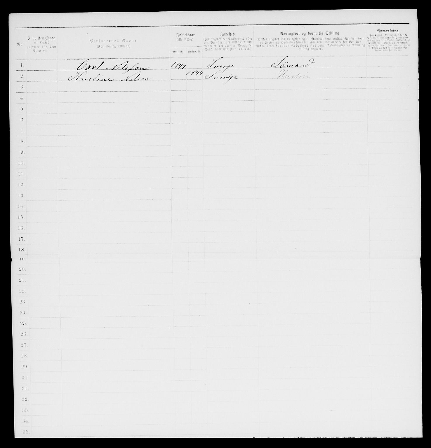 SAKO, 1885 census for 0805 Porsgrunn, 1885, p. 597