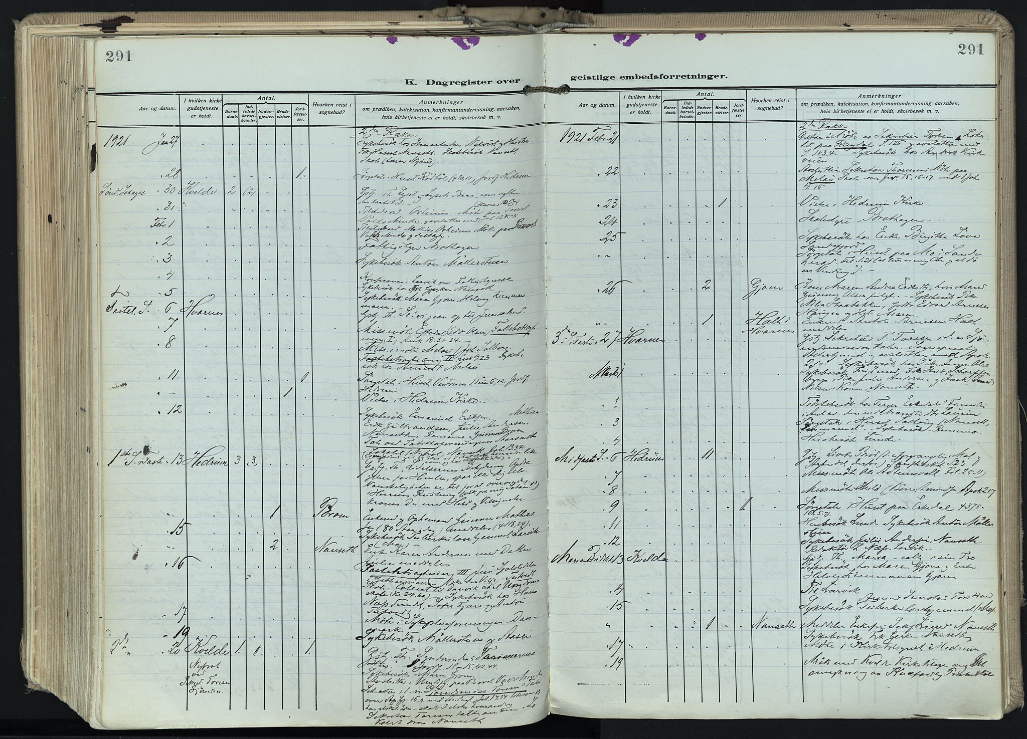 Hedrum kirkebøker, AV/SAKO-A-344/F/Fa/L0011: Parish register (official) no. I 11, 1919-1933, p. 291