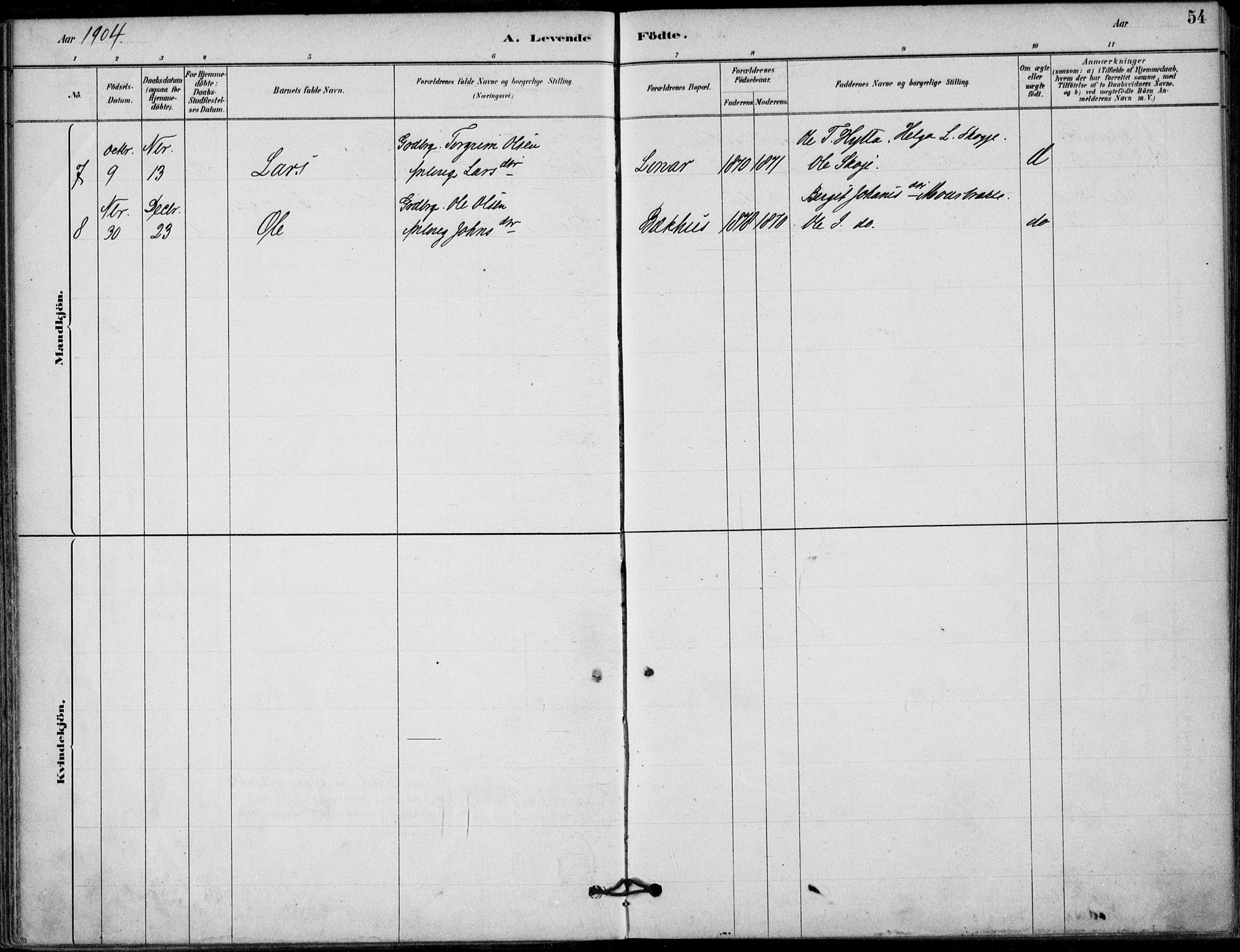 Hjartdal kirkebøker, AV/SAKO-A-270/F/Fb/L0002: Parish register (official) no. II 2, 1880-1932, p. 54