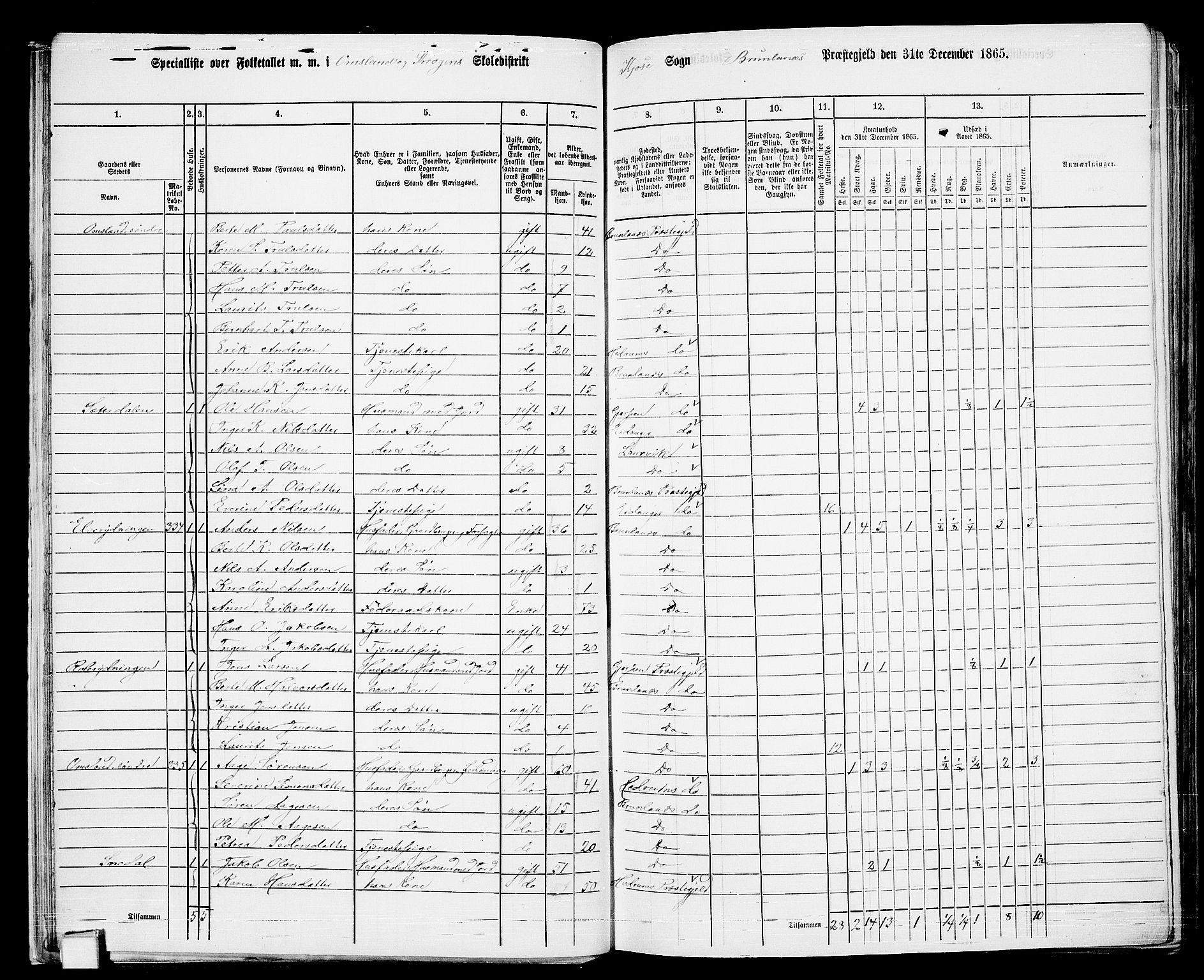 RA, 1865 census for Brunlanes, 1865, p. 25