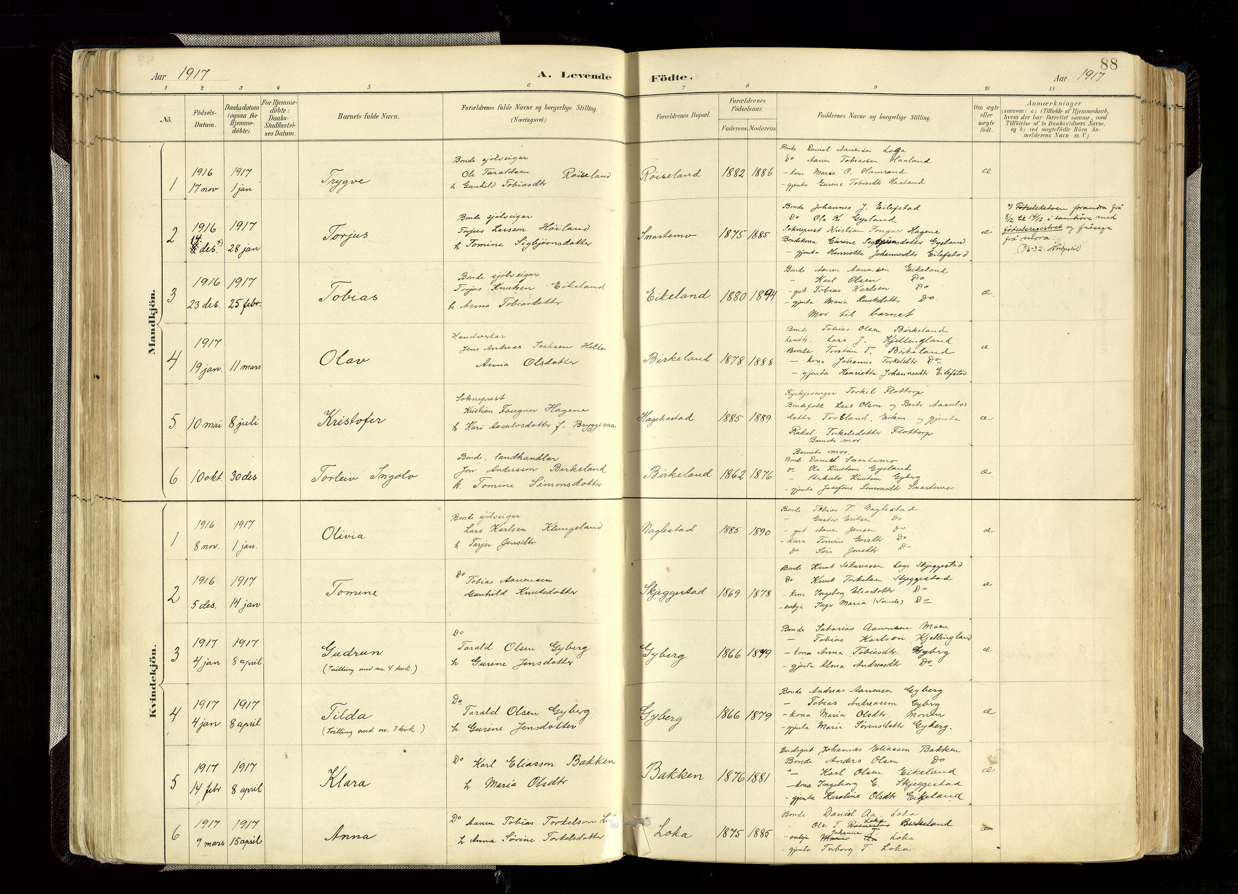 Hægebostad sokneprestkontor, AV/SAK-1111-0024/F/Fa/Faa/L0006: Parish register (official) no. A 6, 1887-1929, p. 88