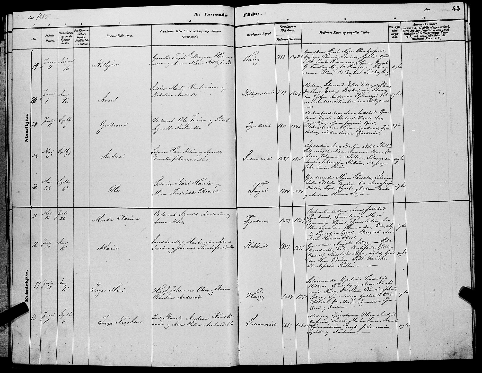 Hole kirkebøker, AV/SAKO-A-228/G/Gb/L0002: Parish register (copy) no. II 2, 1878-1889, p. 45