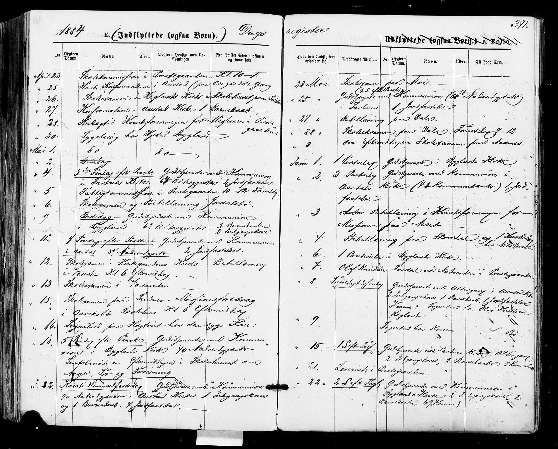 Bygland sokneprestkontor, AV/SAK-1111-0006/F/Fa/Fab/L0006: Parish register (official) no. A 6, 1873-1884, p. 391