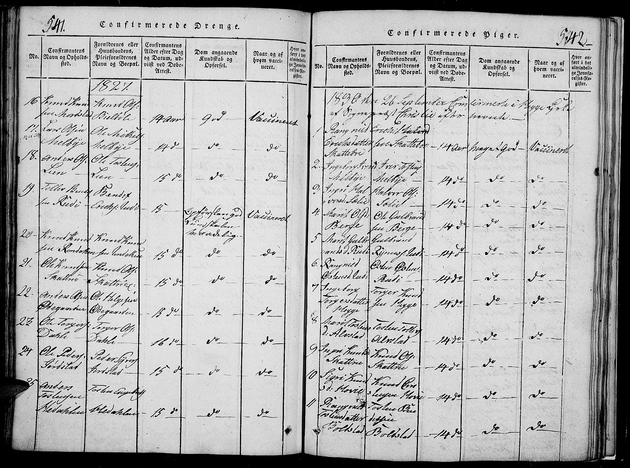 Slidre prestekontor, SAH/PREST-134/H/Ha/Hab/L0002: Parish register (copy) no. 2, 1814-1839, p. 541-542
