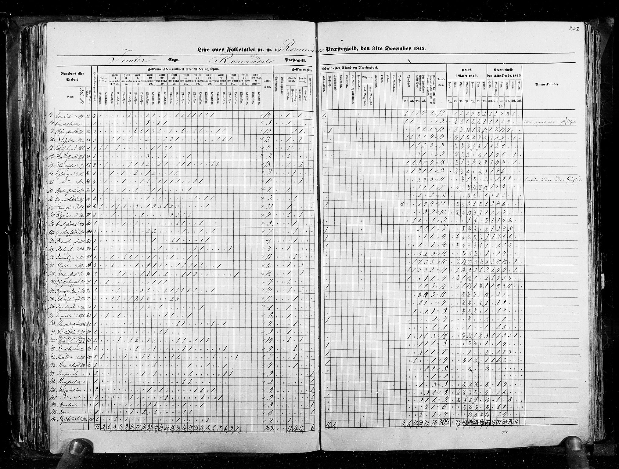 RA, Census 1845, vol. 3: Hedemarken amt og Kristians amt, 1845, p. 202