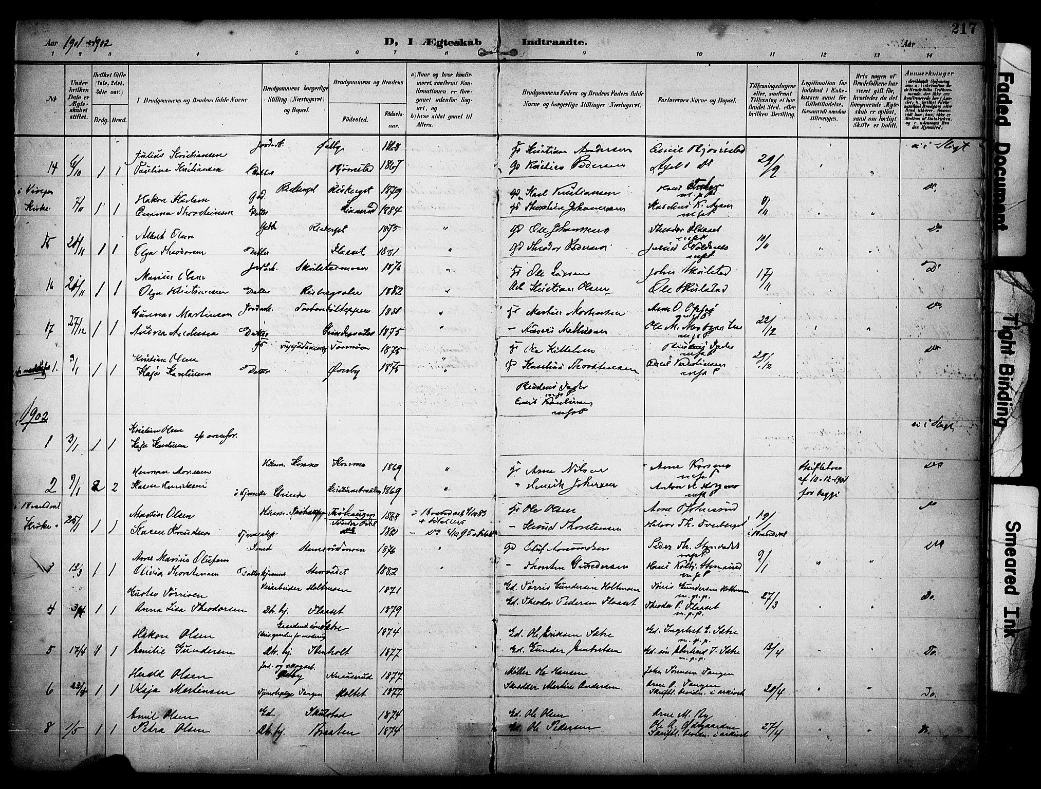 Grue prestekontor, SAH/PREST-036/H/Ha/Haa/L0013: Parish register (official) no. 13, 1898-1910, p. 217