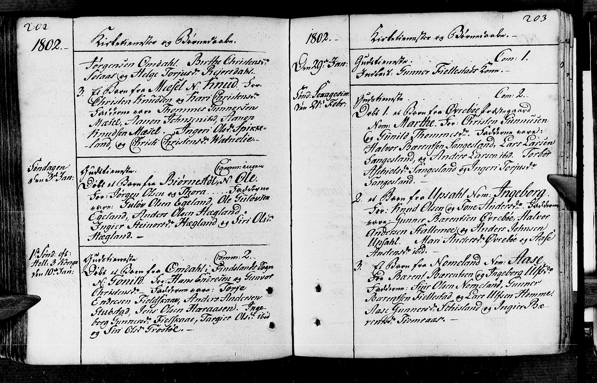 Vennesla sokneprestkontor, AV/SAK-1111-0045/Fa/Fac/L0002: Parish register (official) no. A 2, 1785-1834, p. 202-203