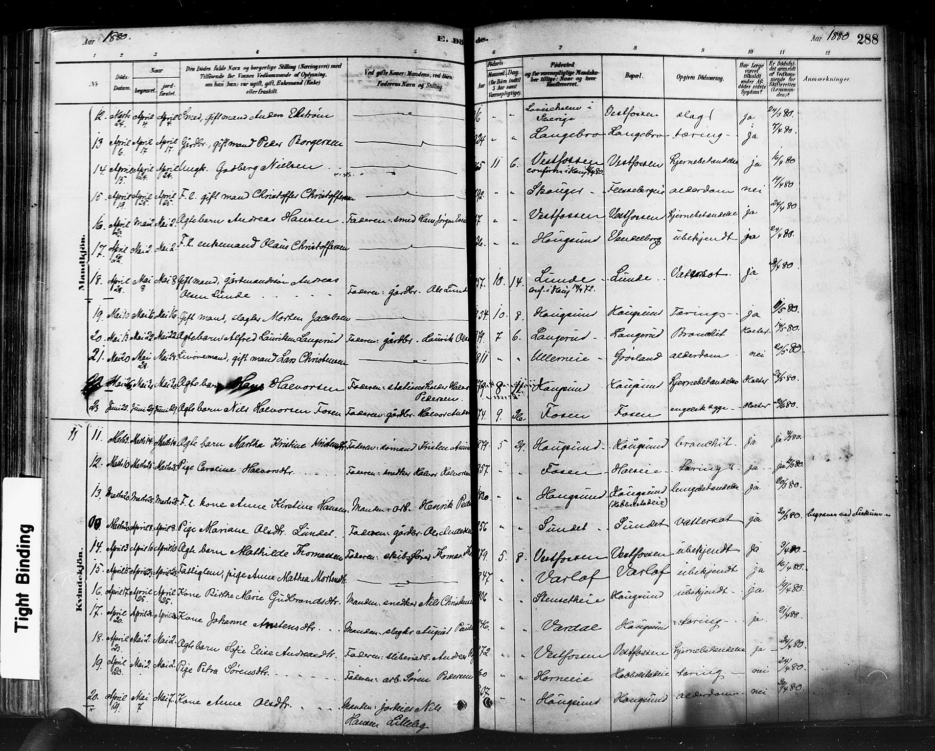 Eiker kirkebøker, AV/SAKO-A-4/F/Fb/L0001: Parish register (official) no. II 1, 1878-1888, p. 288