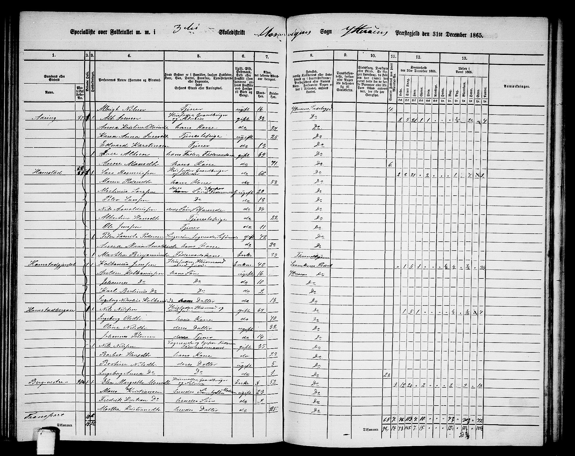 RA, 1865 census for Ytterøy, 1865, p. 114