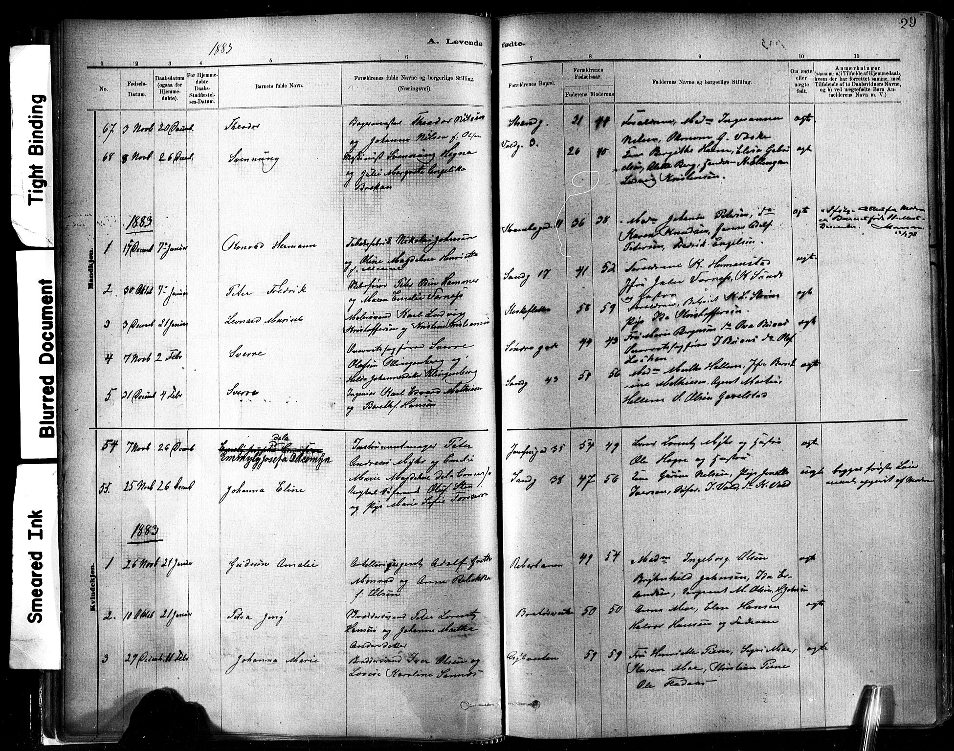 Ministerialprotokoller, klokkerbøker og fødselsregistre - Sør-Trøndelag, SAT/A-1456/602/L0119: Parish register (official) no. 602A17, 1880-1901, p. 29
