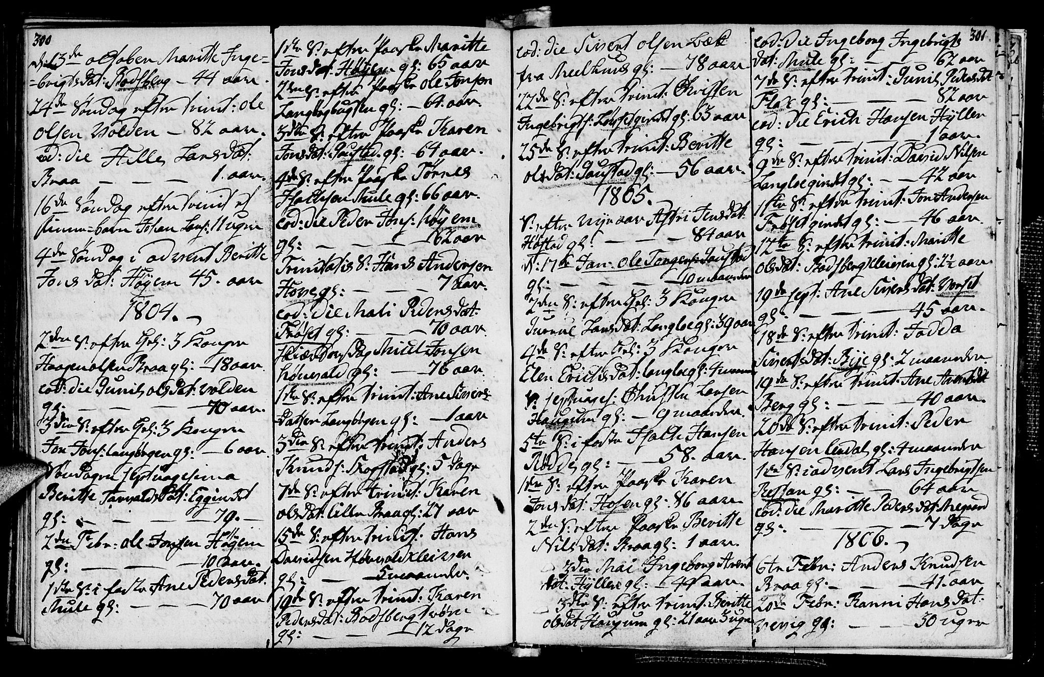 Ministerialprotokoller, klokkerbøker og fødselsregistre - Sør-Trøndelag, AV/SAT-A-1456/612/L0371: Parish register (official) no. 612A05, 1803-1816, p. 300-301