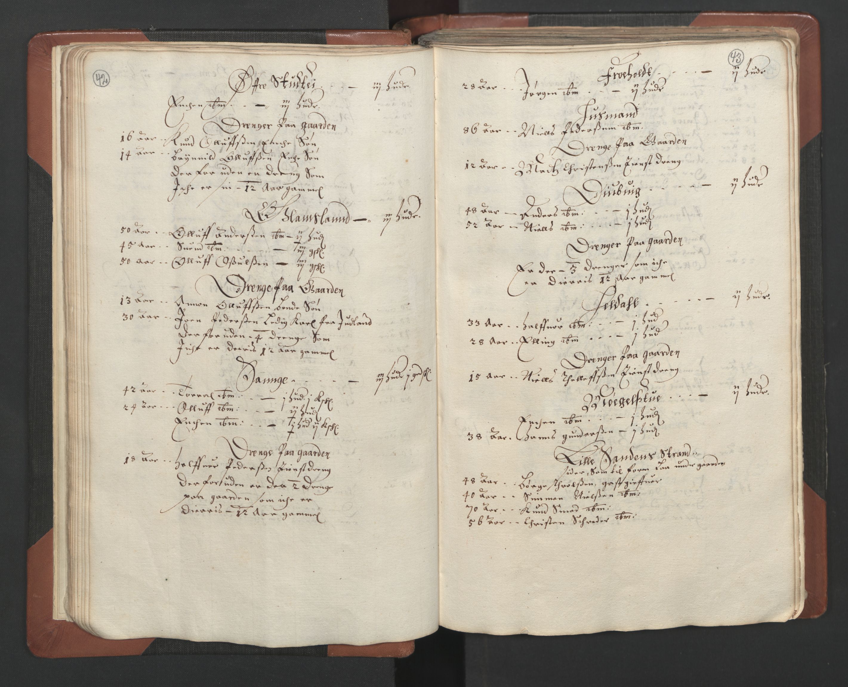 RA, Bailiff's Census 1664-1666, no. 7: Nedenes fogderi, 1664-1666, p. 42-43