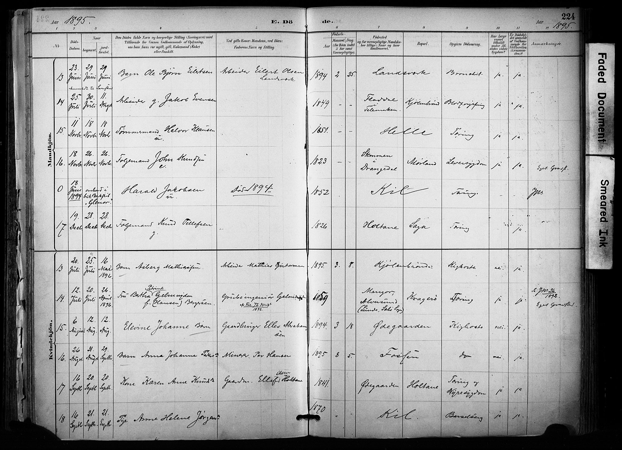 Sannidal kirkebøker, AV/SAKO-A-296/F/Fa/L0015: Parish register (official) no. 15, 1884-1899, p. 224