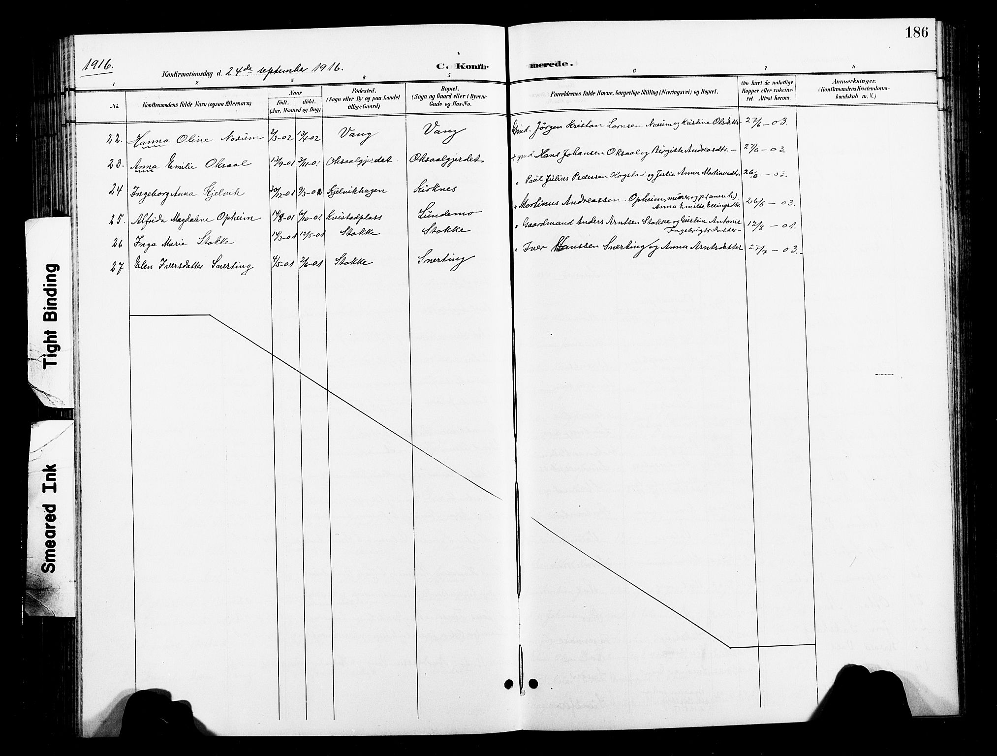 Ministerialprotokoller, klokkerbøker og fødselsregistre - Nord-Trøndelag, SAT/A-1458/730/L0302: Parish register (copy) no. 730C05, 1898-1924, p. 186