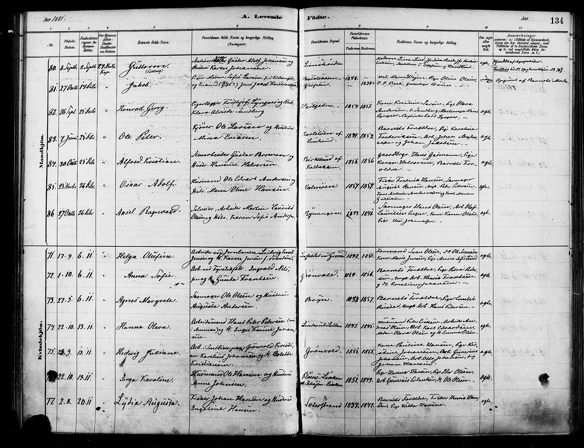 Østre Aker prestekontor Kirkebøker, AV/SAO-A-10840/F/Fa/L0006: Parish register (official) no. I 5, 1879-1882, p. 134