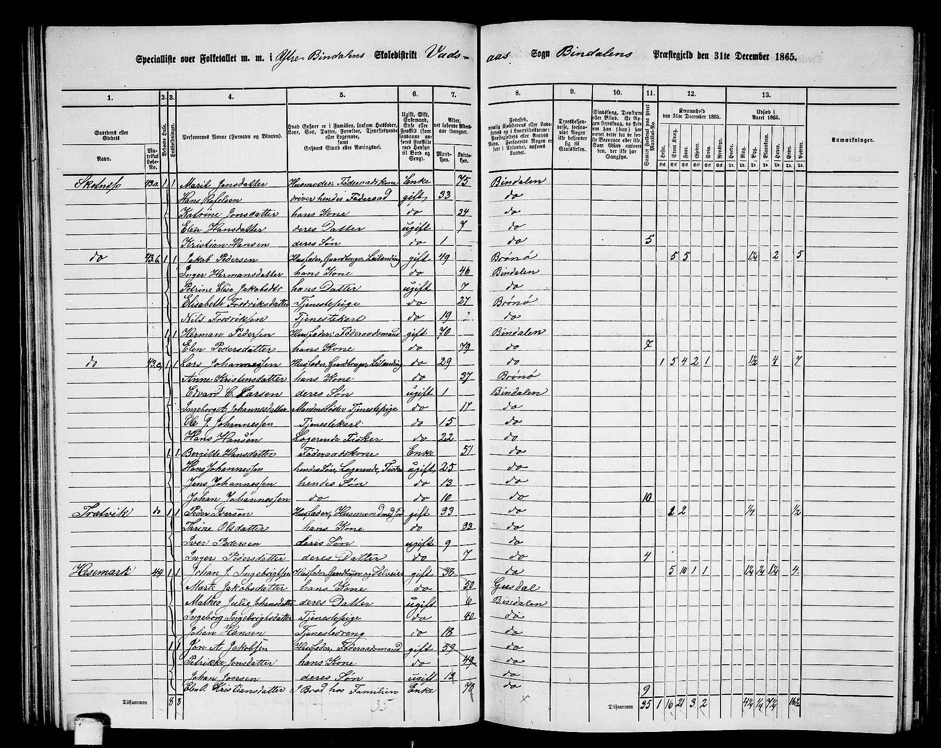 RA, 1865 census for Bindal, 1865, p. 47