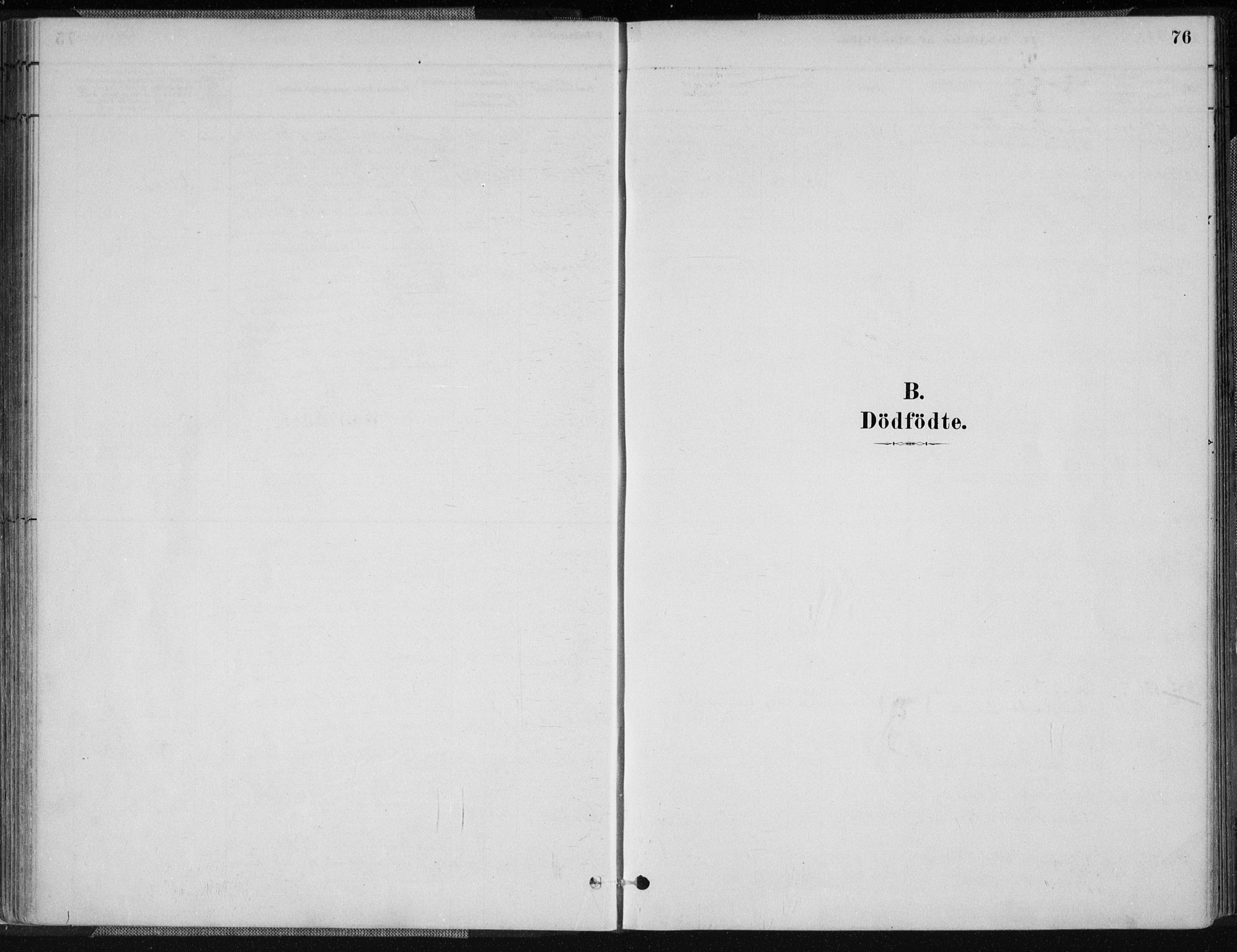 Sør-Audnedal sokneprestkontor, SAK/1111-0039/F/Fa/Fab/L0009: Parish register (official) no. A 9, 1880-1895, p. 76
