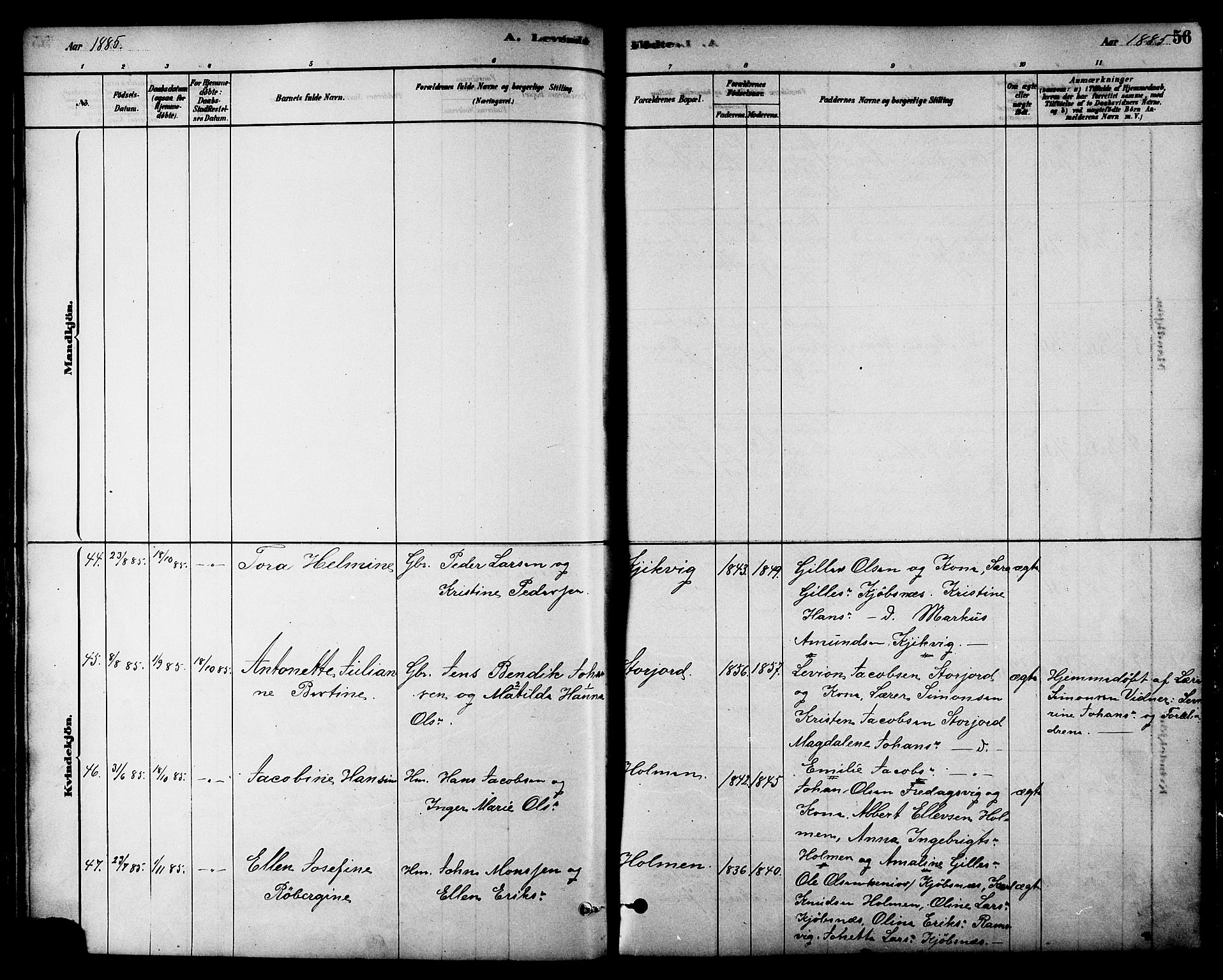 Ministerialprotokoller, klokkerbøker og fødselsregistre - Nordland, AV/SAT-A-1459/861/L0868: Parish register (official) no. 861A03, 1879-1889, p. 56