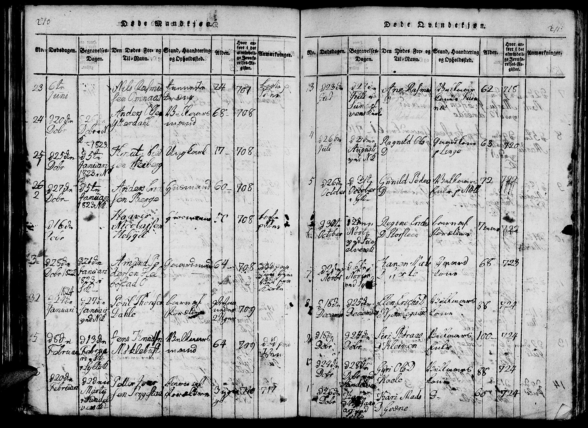 Ministerialprotokoller, klokkerbøker og fødselsregistre - Møre og Romsdal, AV/SAT-A-1454/519/L0260: Parish register (copy) no. 519C01, 1817-1829, p. 210-211